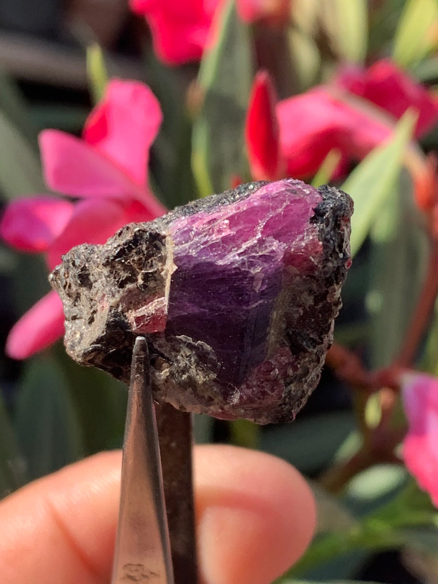 Rubis sur gangue de Zoisite, 27mm x23 x 20 - 17,1 grammes. Parfait en collection, exposition, lapidage...