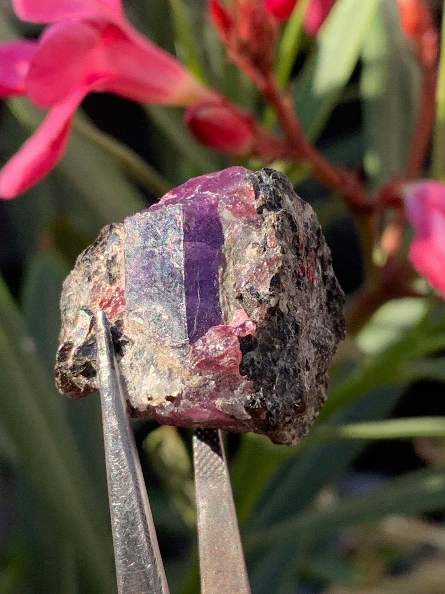 Rubis sur gangue de Zoisite, 27mm x23 x 20 - 17,1 grammes. Parfait en collection, exposition, lapidage...