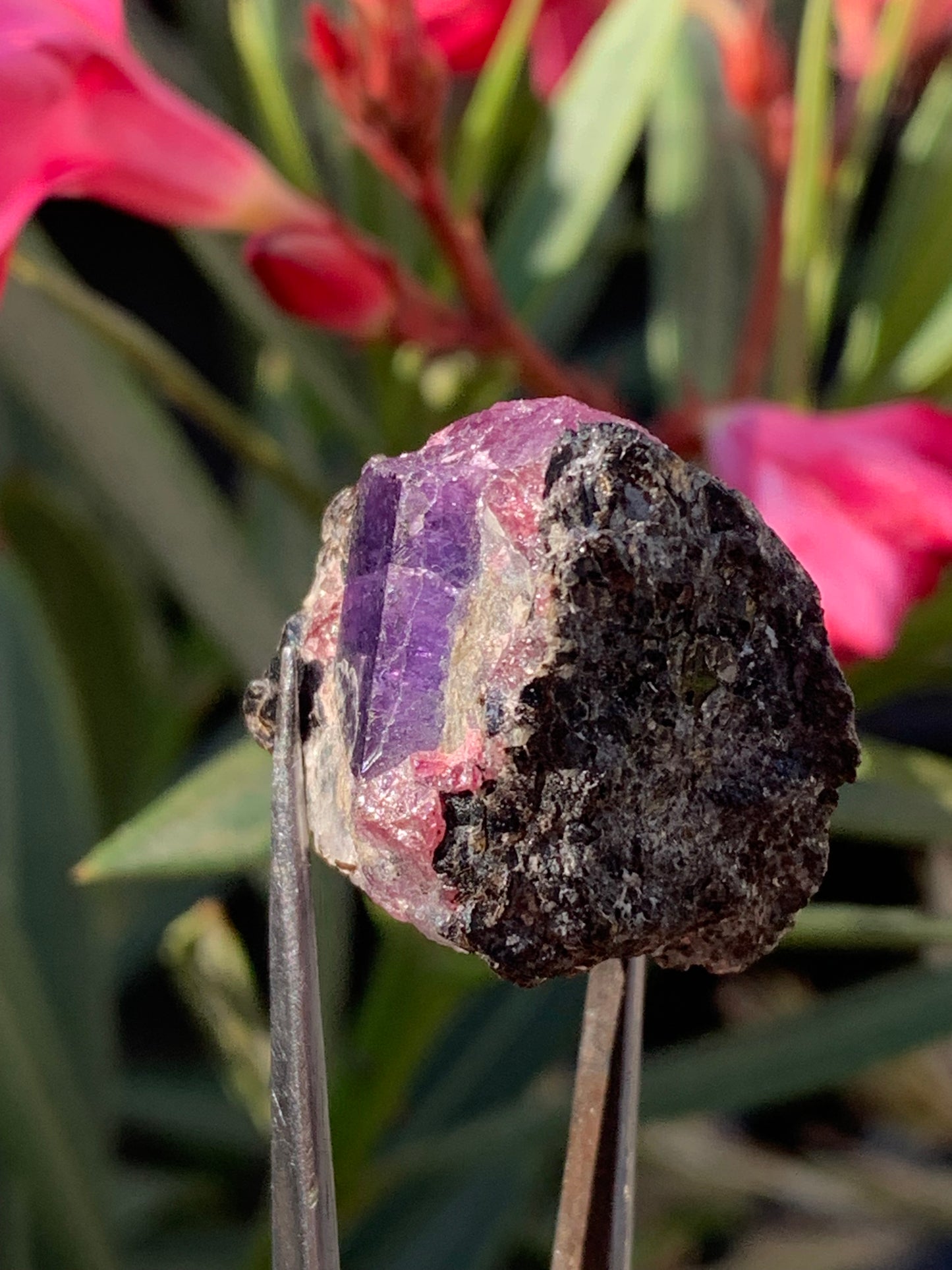 Rubis sur gangue de Zoisite, 27mm x23 x 20 - 17,1 grammes. Parfait en collection, exposition, lapidage...