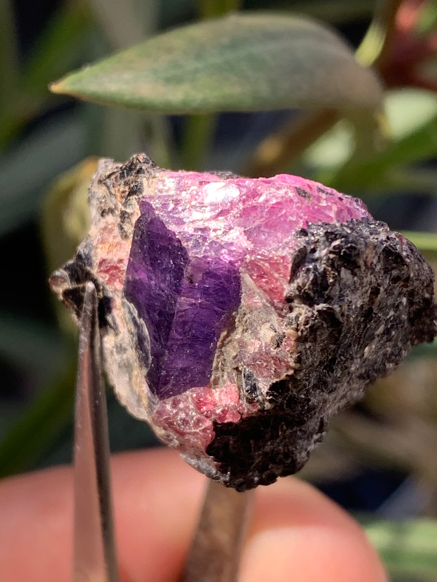 Rubis sur gangue de Zoisite, 27mm x23 x 20 - 17,1 grammes. Parfait en collection, exposition, lapidage...