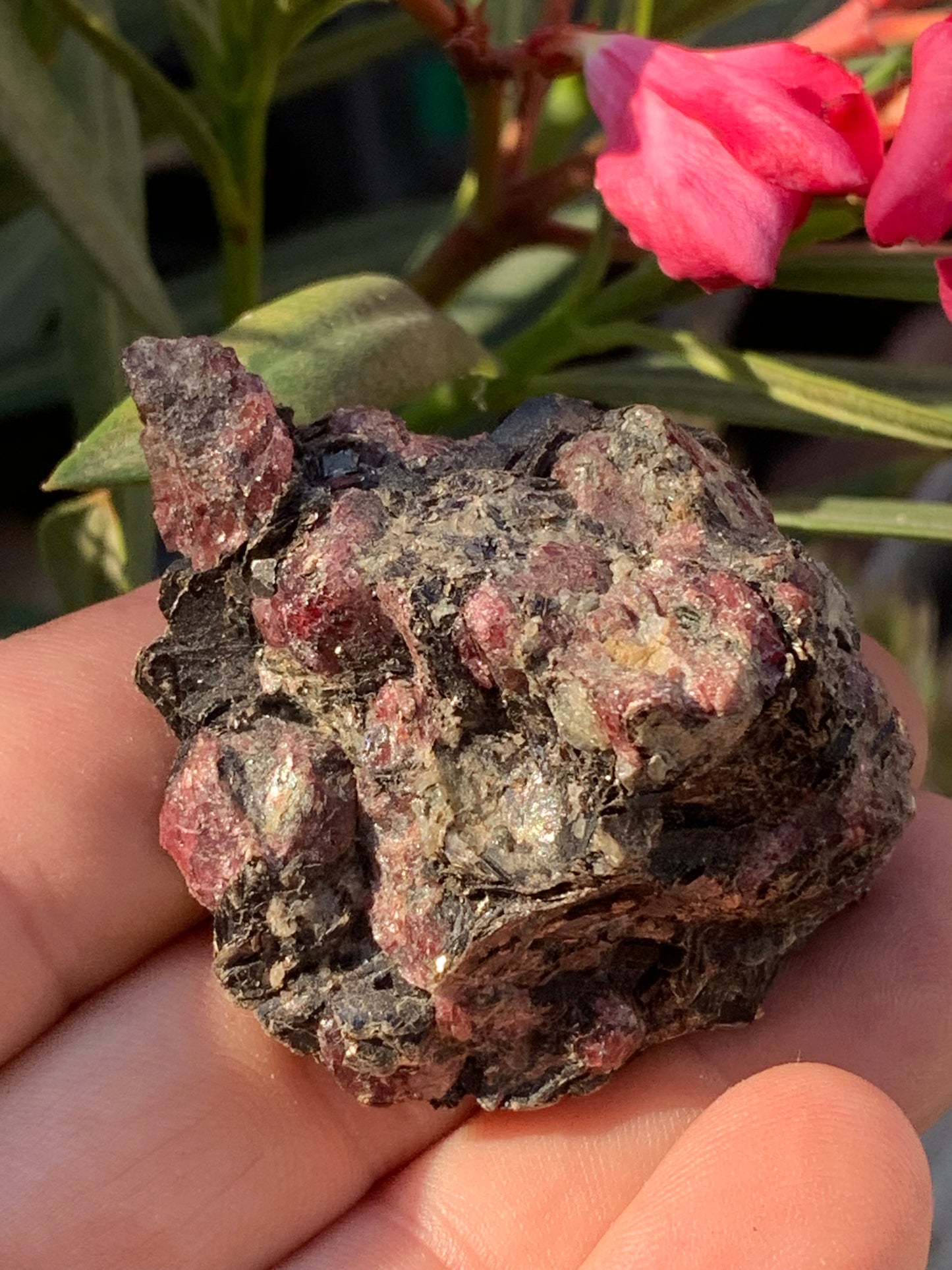 Rubis sur gangue de Zoisite, 58mm x46 x 29 - 65 grammes. Parfait en collection, exposition, lapidage...