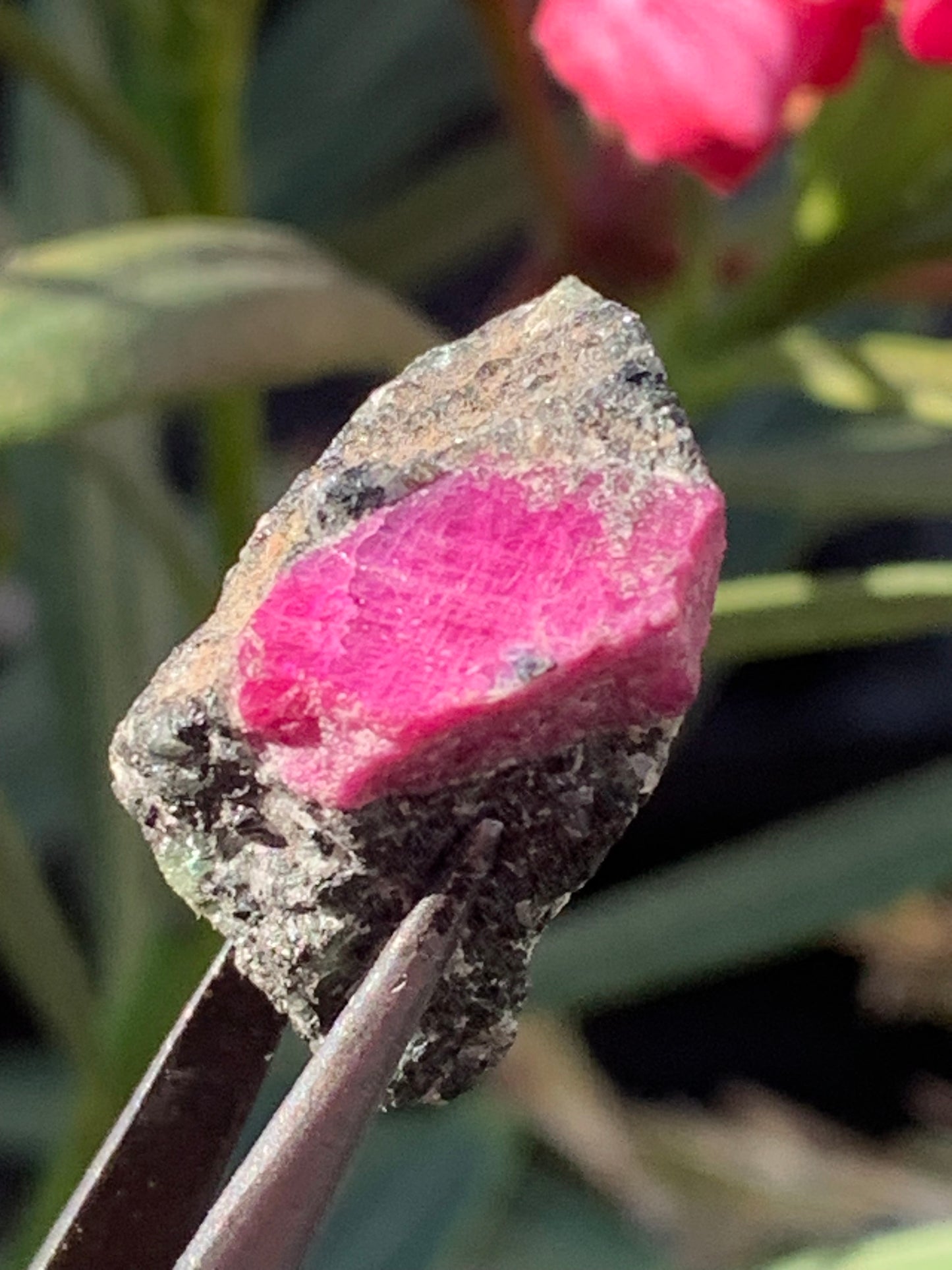 Rubis sur gangue de Zoisite, 24mm x20 x 18 - 7,1 grammes. Parfait en collection, exposition, lapidage...