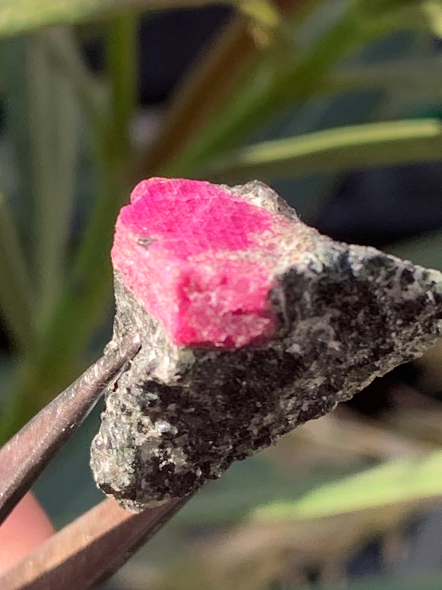 Rubis sur gangue de Zoisite, 24mm x20 x 18 - 7,1 grammes. Parfait en collection, exposition, lapidage...