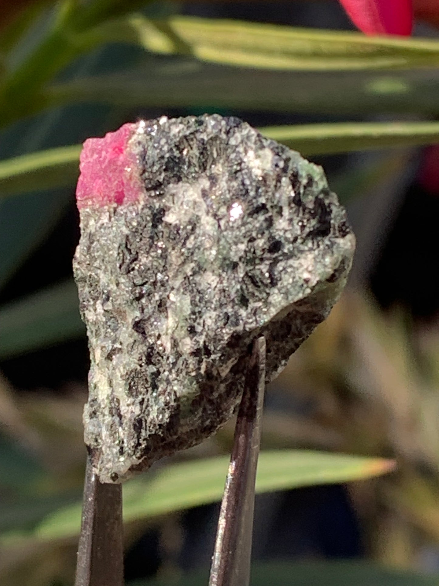 Rubis sur gangue de Zoisite, 24mm x20 x 18 - 7,1 grammes. Parfait en collection, exposition, lapidage...