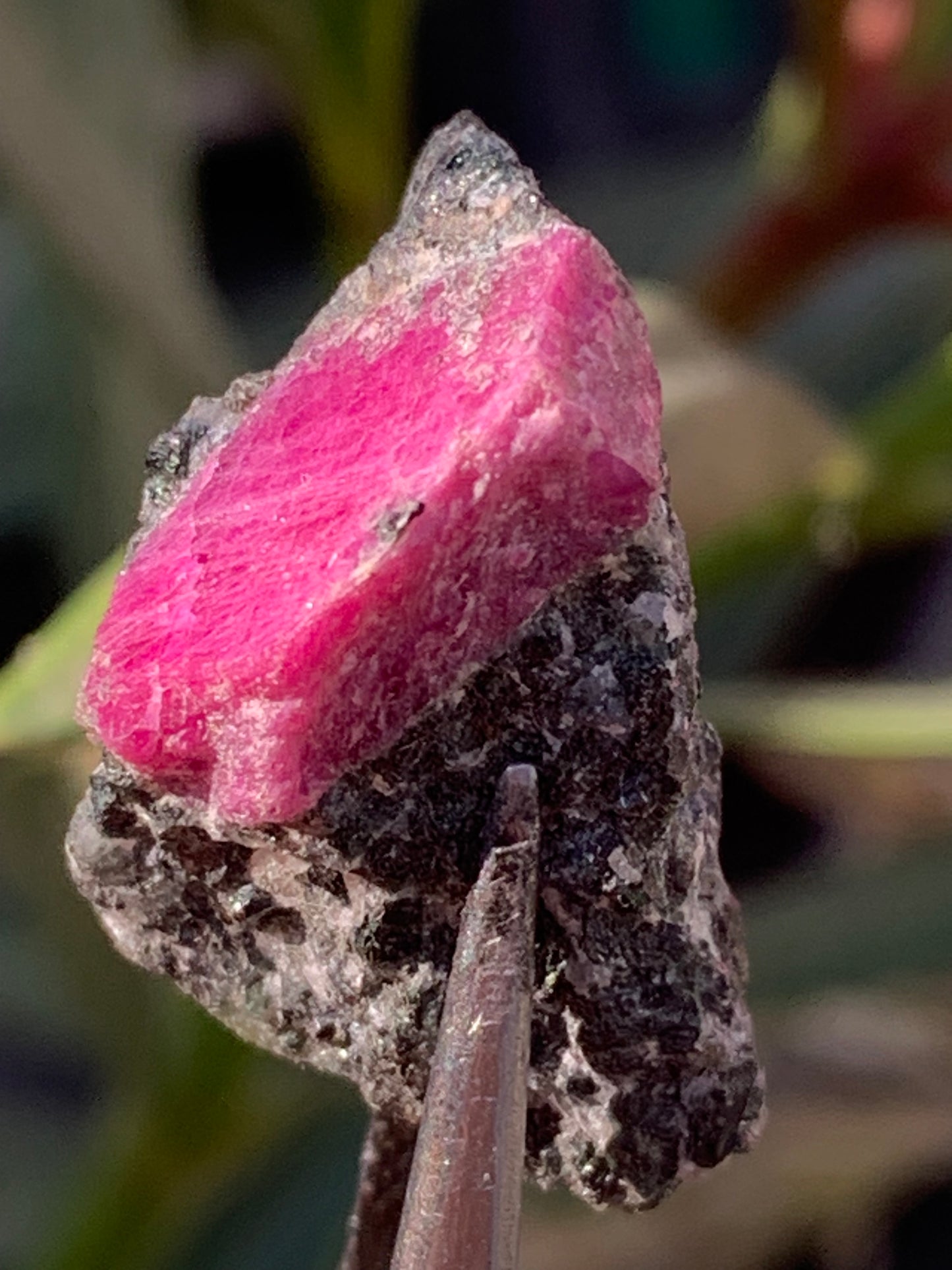 Rubis sur gangue de Zoisite, 24mm x20 x 18 - 7,1 grammes. Parfait en collection, exposition, lapidage...