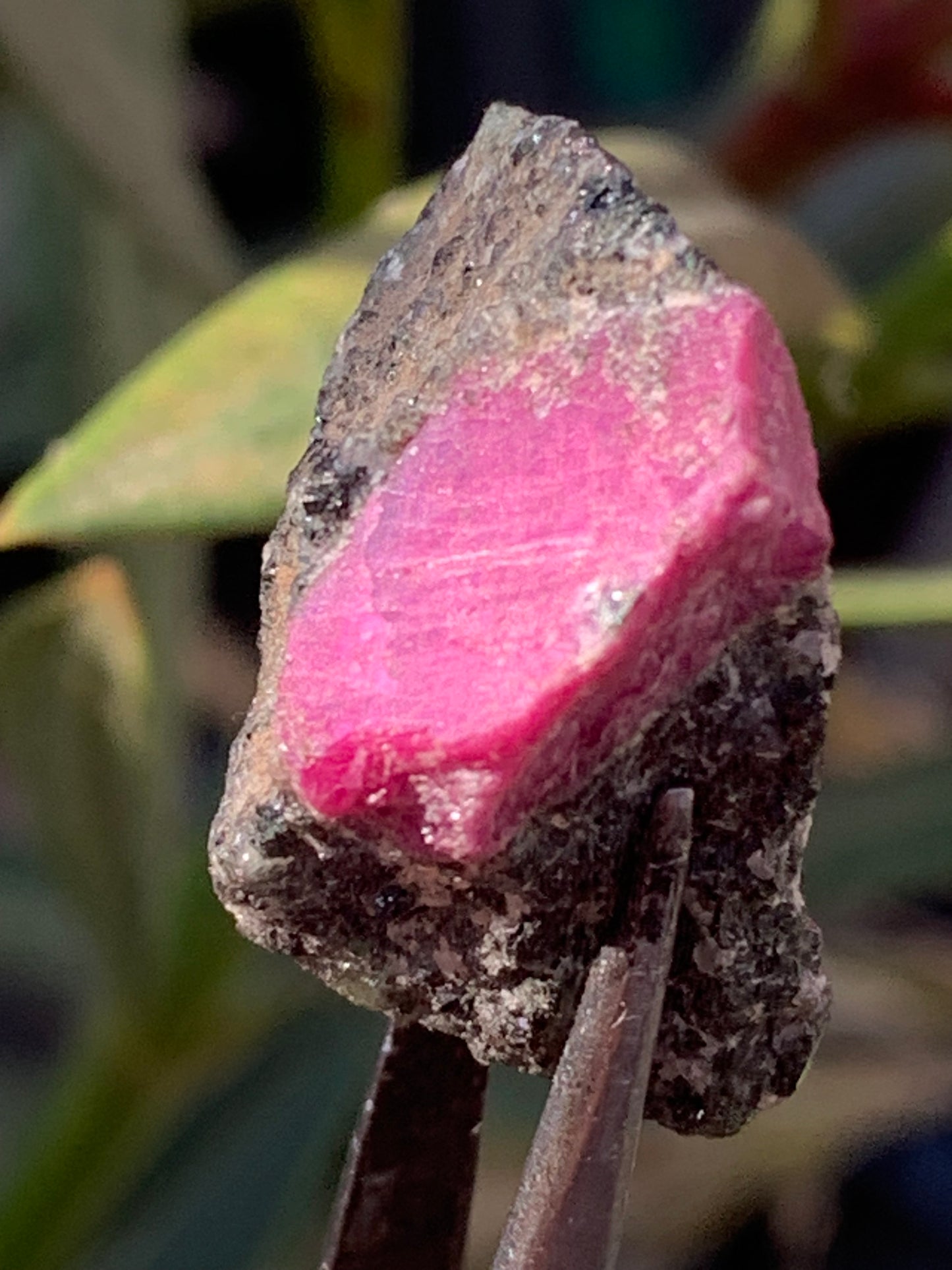 Rubis sur gangue de Zoisite, 24mm x20 x 18 - 7,1 grammes. Parfait en collection, exposition, lapidage...