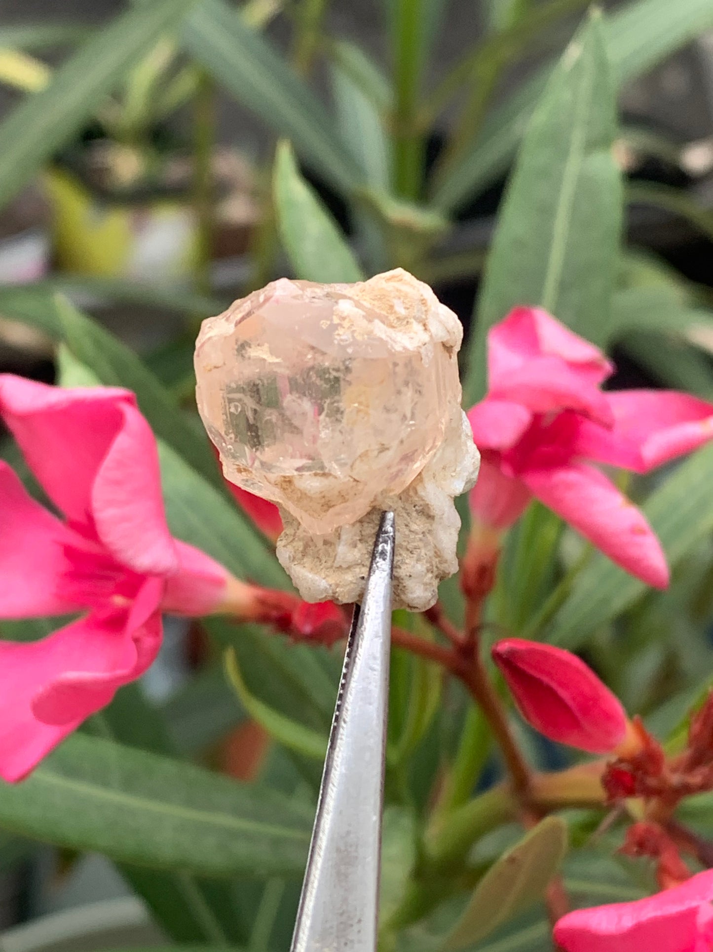 Imperial Topaz with Aquamarine, superb natural crystal measuring 25mm x 18mm x 18mm - 11.2 grams. Beautiful collector's item, unique and quite rare!