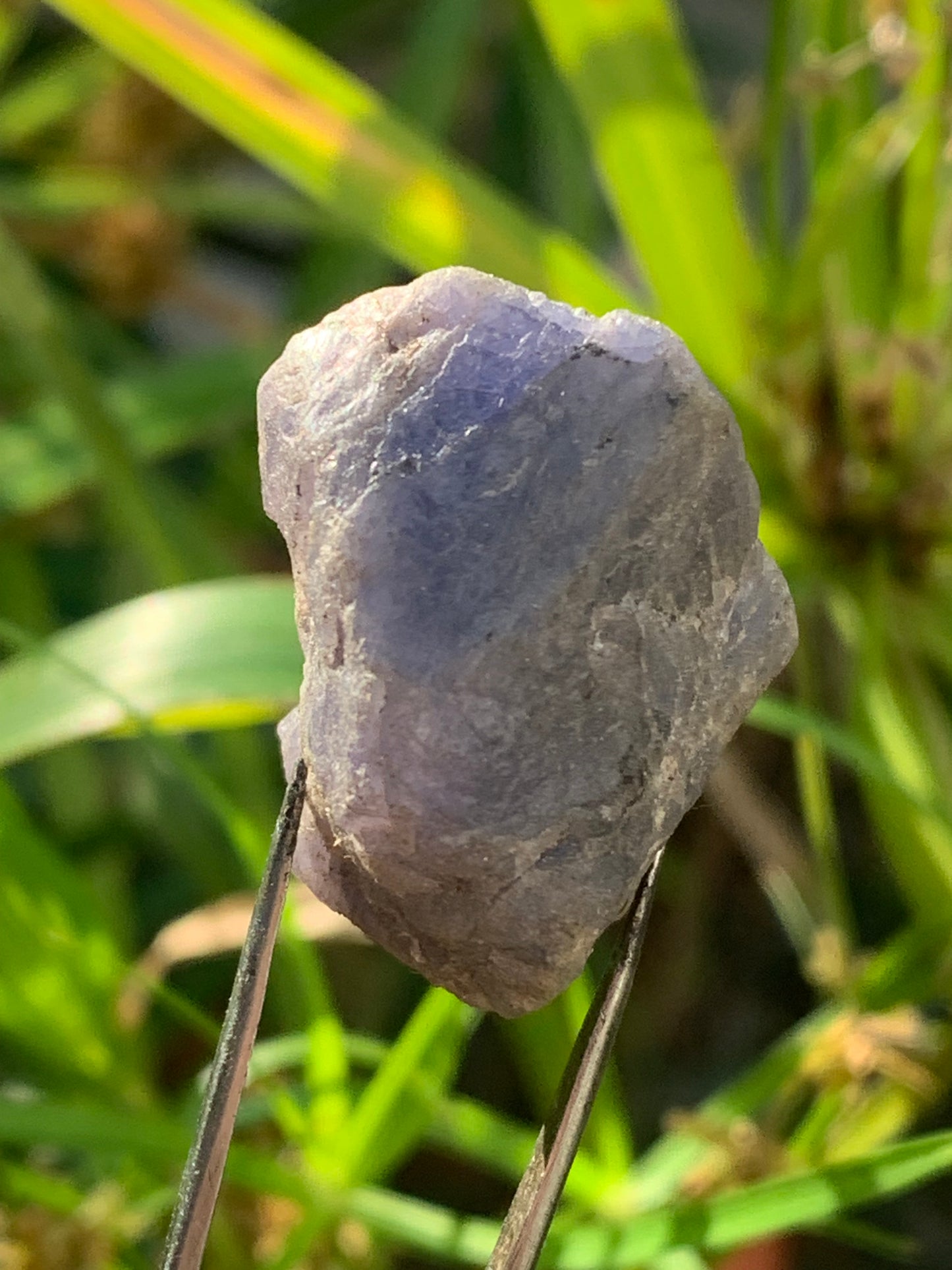 Tanzanite, rough specimen of 32mm x 21 x 20 - 18 grams. Perfect for collecting, displaying, stoning...