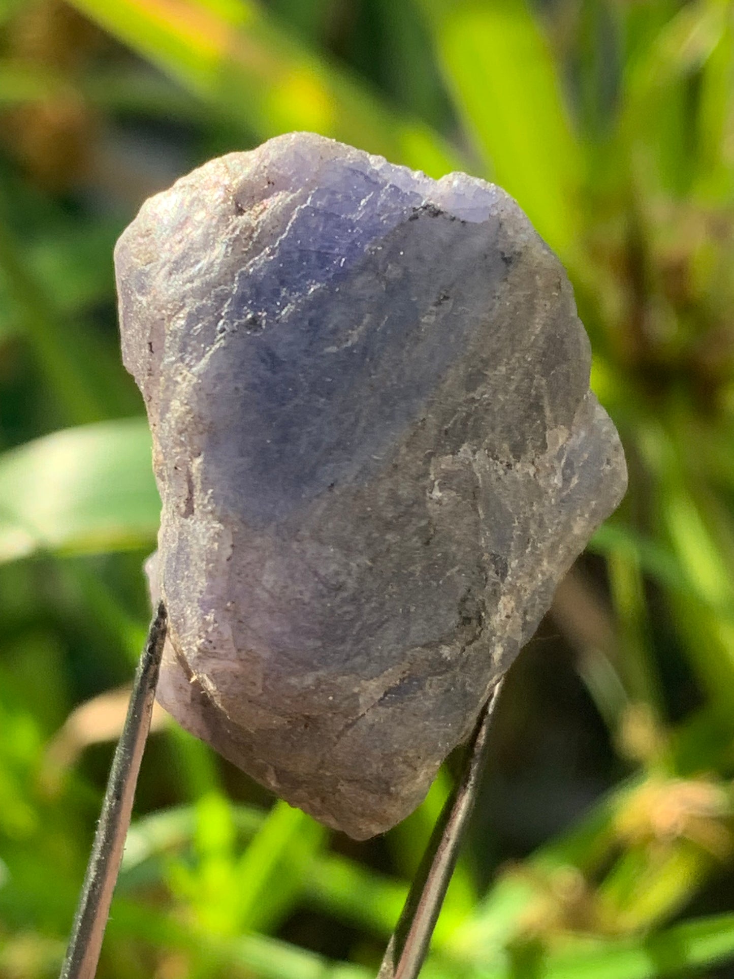 Tanzanite, rough specimen of 32mm x 21 x 20 - 18 grams. Perfect for collecting, displaying, stoning...