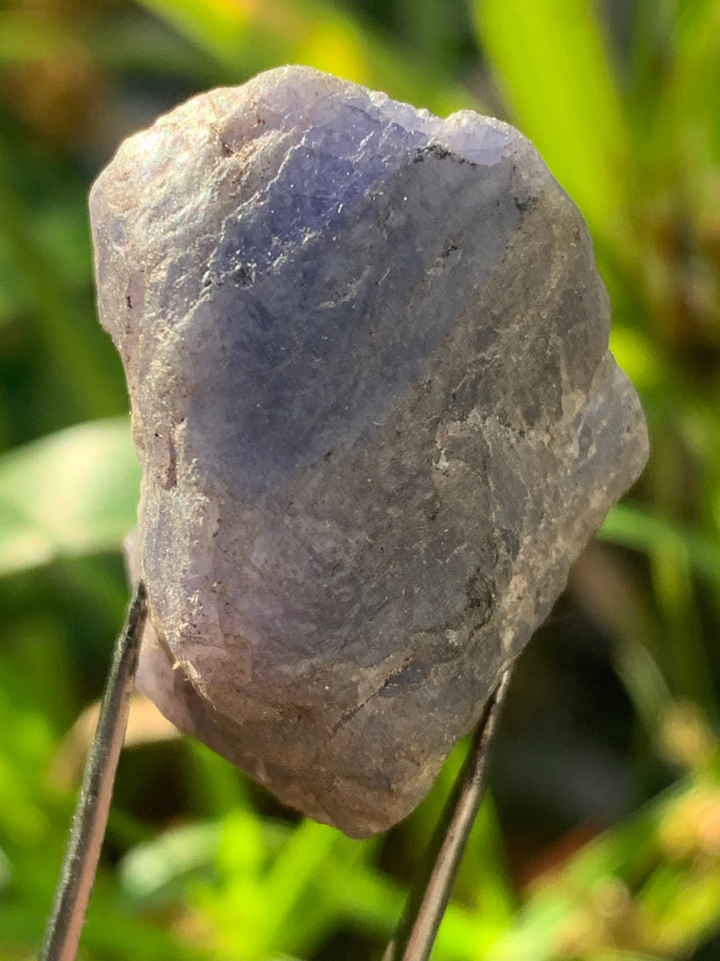 Tanzanite, rough specimen of 32mm x 21 x 20 - 18 grams. Perfect for collecting, displaying, stoning...