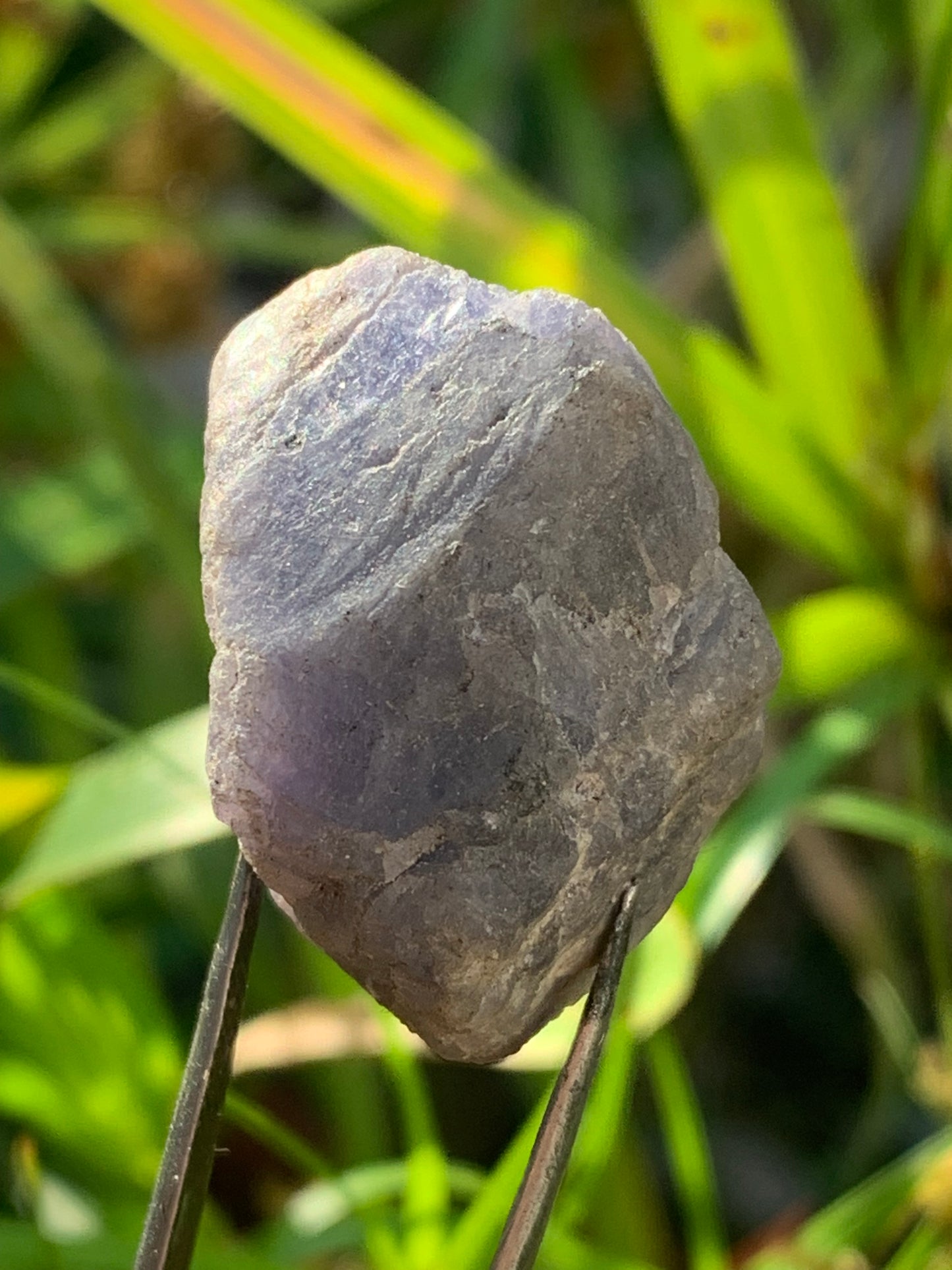 Tanzanite, rough specimen of 32mm x 21 x 20 - 18 grams. Perfect for collecting, displaying, stoning...