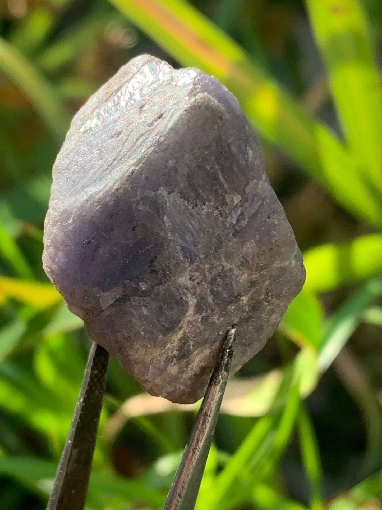 Tanzanite, rough specimen of 32mm x 21 x 20 - 18 grams. Perfect for collecting, displaying, stoning...