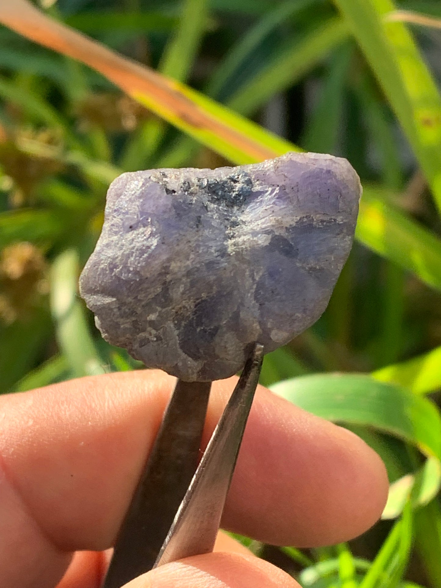 Tanzanite, rough specimen of 32mm x 21 x 20 - 18 grams. Perfect for collecting, displaying, stoning...