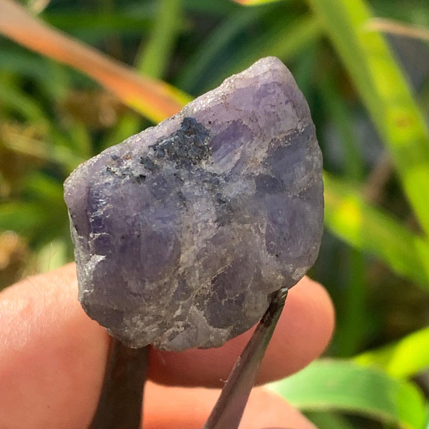 Tanzanite, rough specimen of 32mm x 21 x 20 - 18 grams. Perfect for collecting, displaying, stoning...