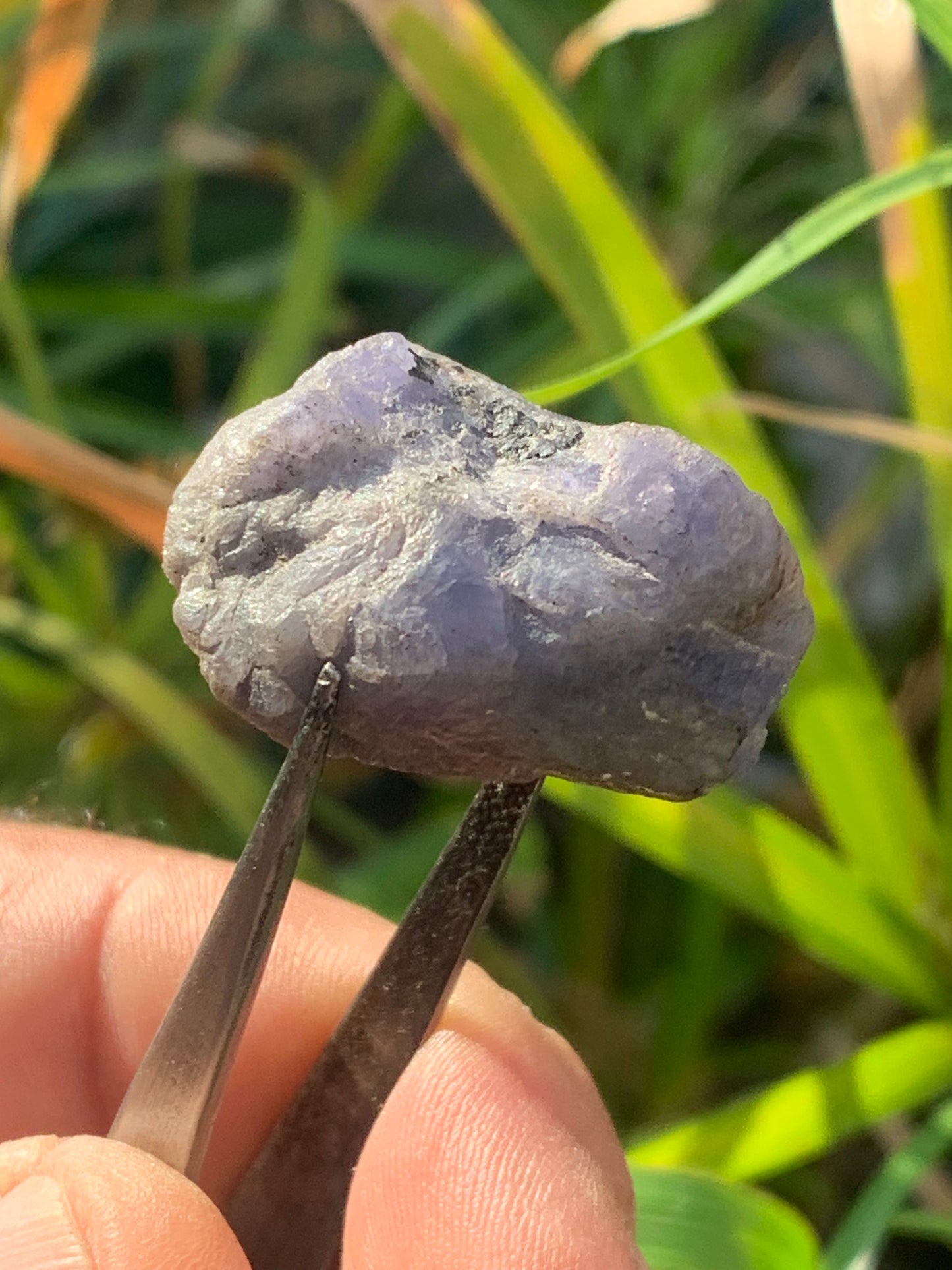 Tanzanite, rough specimen of 32mm x 21 x 20 - 18 grams. Perfect for collecting, displaying, stoning...