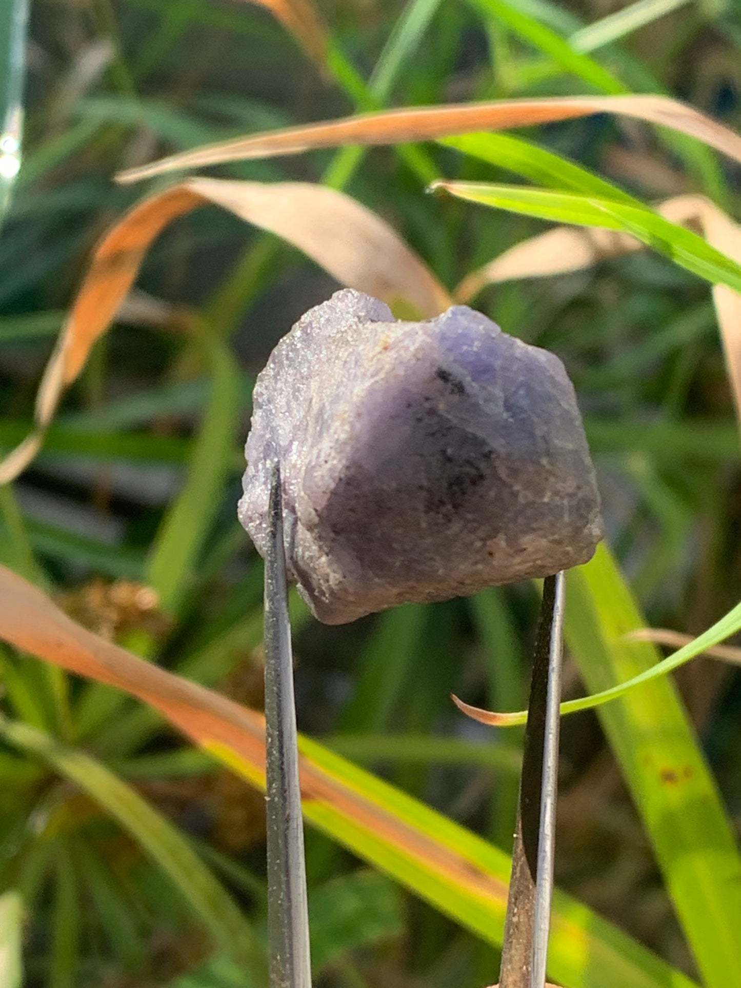 Tanzanite, rough specimen of 32mm x 21 x 20 - 18 grams. Perfect for collecting, displaying, stoning...