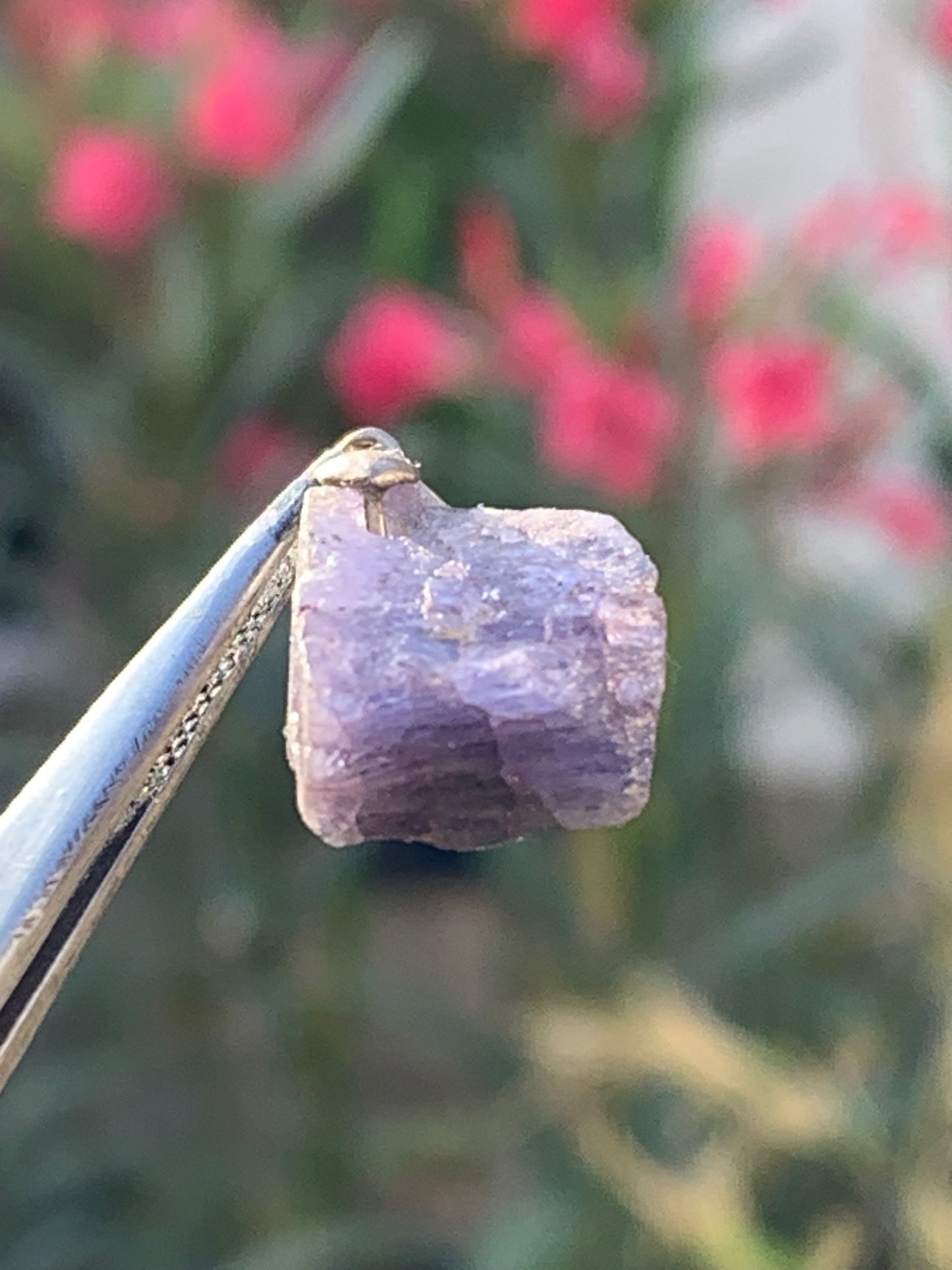 Tanzanite, pendentif de 25mm x 12 x 8 - 12,5 carats. Parfait en bijouterie, collection ,exposition...