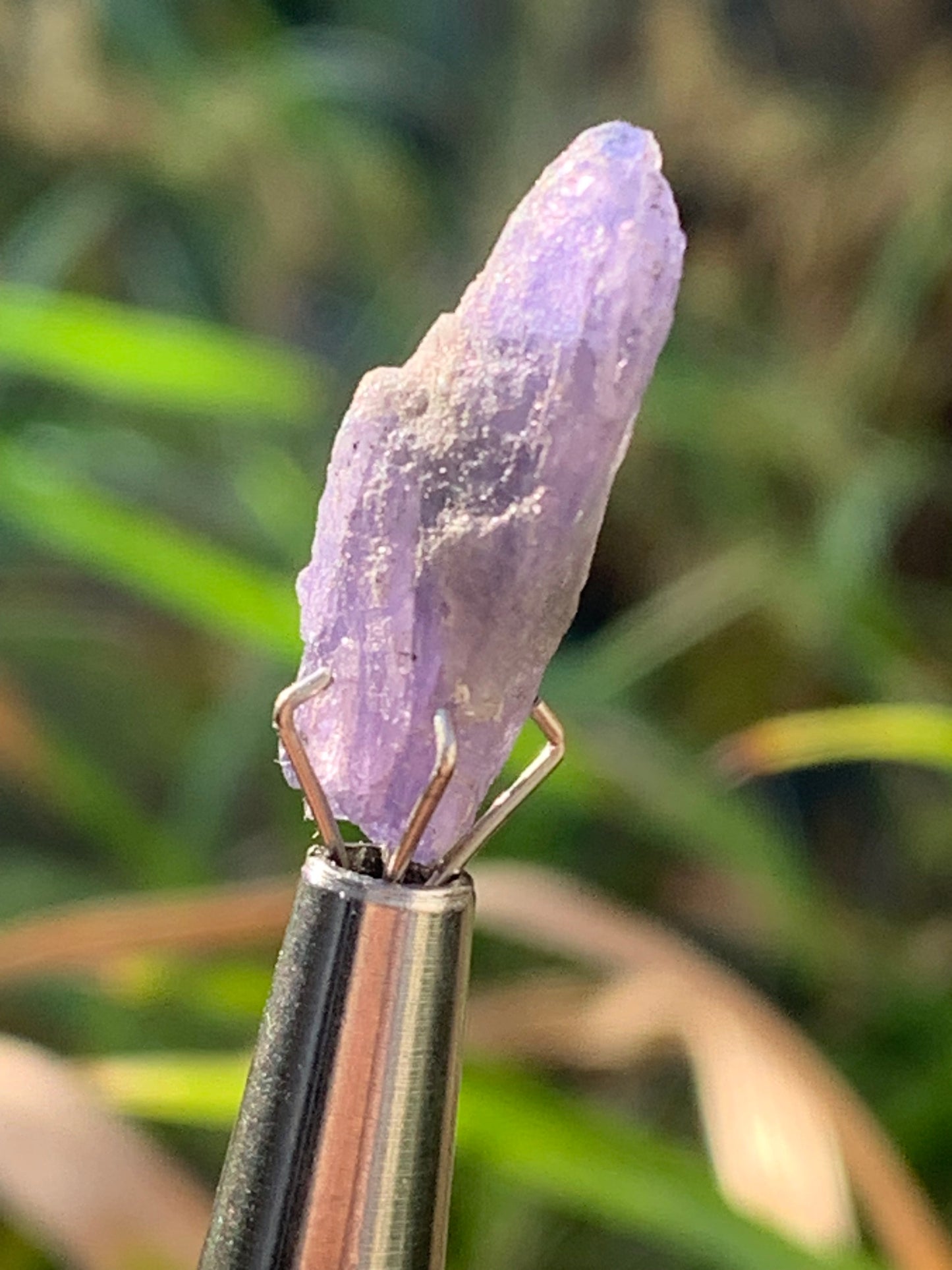 Tanzanite, rough specimen of 20mm x 8 x 5 - 1 gram. Perfect for collection, jewelry, exhibition...