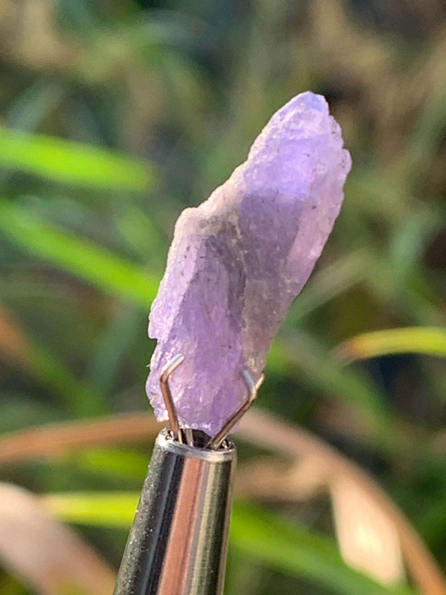 Tanzanite, rough specimen of 20mm x 8 x 5 - 1 gram. Perfect for collection, jewelry, exhibition...