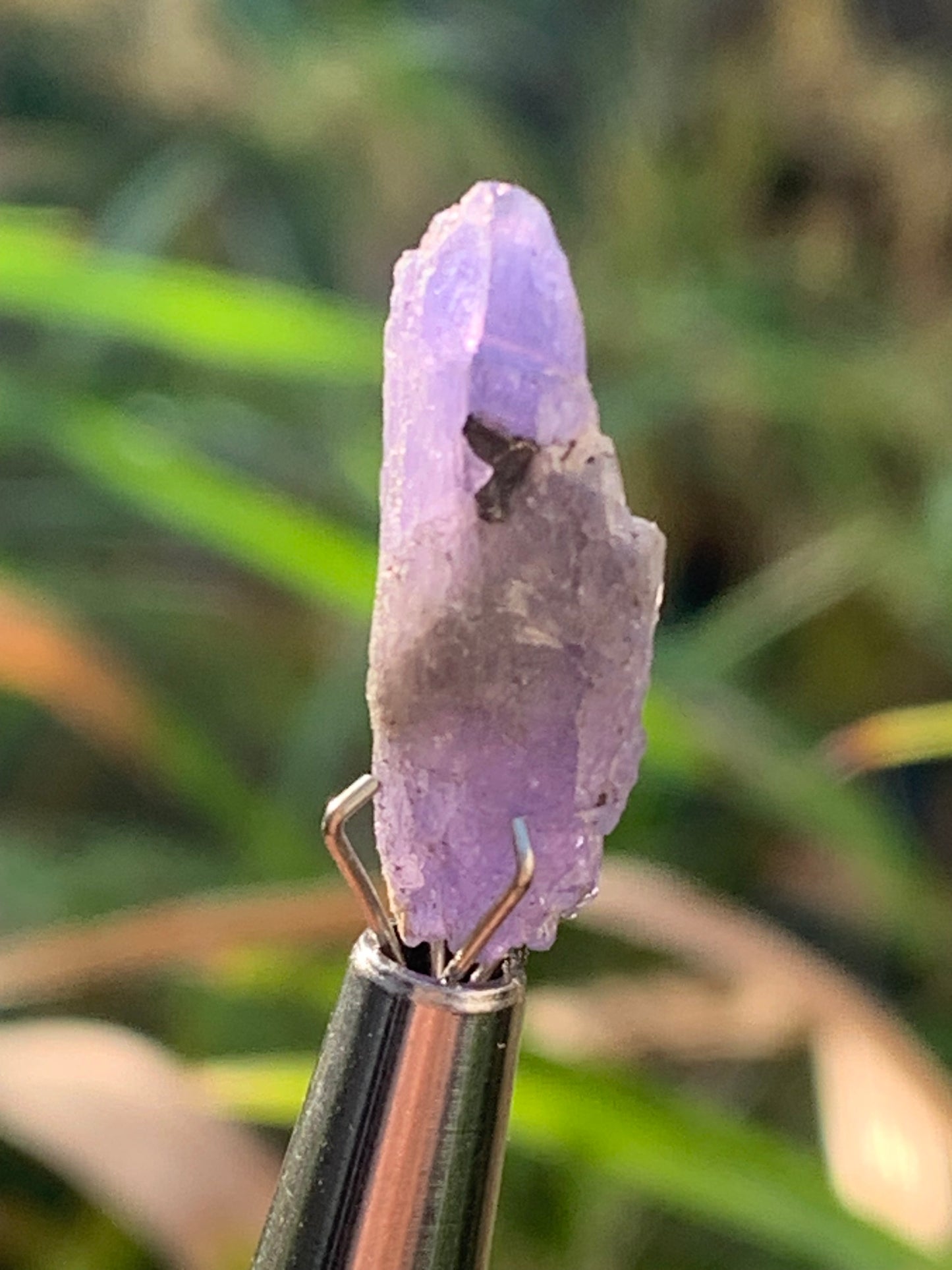 Tanzanite, rough specimen of 20mm x 8 x 5 - 1 gram. Perfect for collection, jewelry, exhibition...