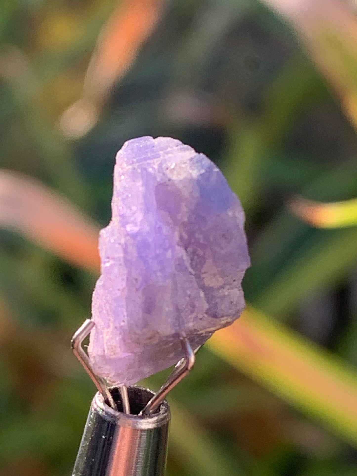 Tanzanite, pièce brute de 14mm x10 x8/ 1,4 gramme. Parfait en collection, bijouterie, exposition...