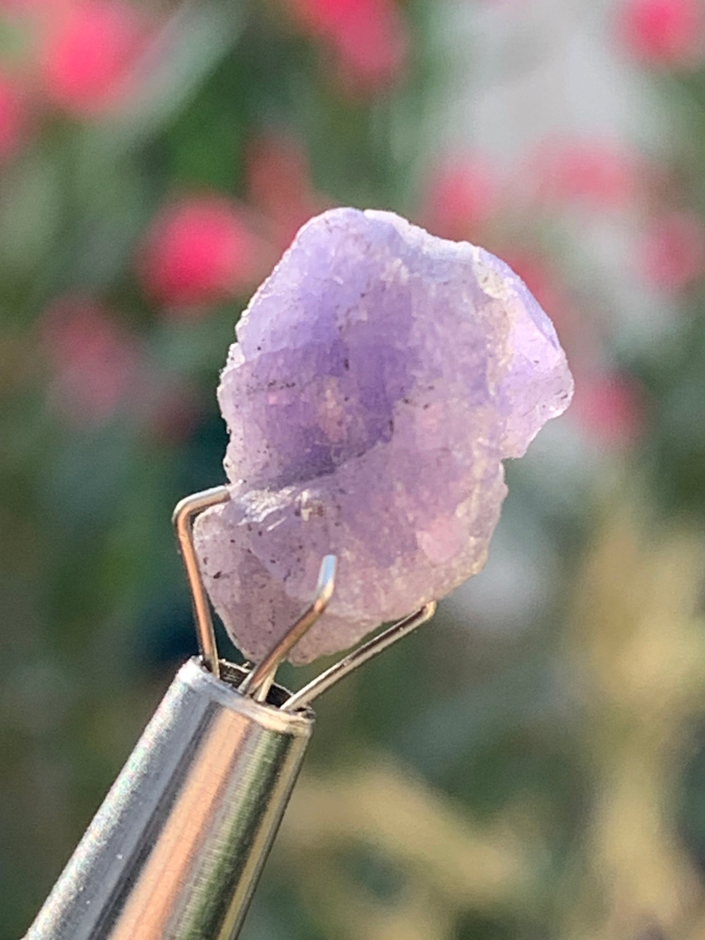 Tanzanite, pièce brute de 14mm x10 x8/ 1,4 gramme. Parfait en collection, bijouterie, exposition...