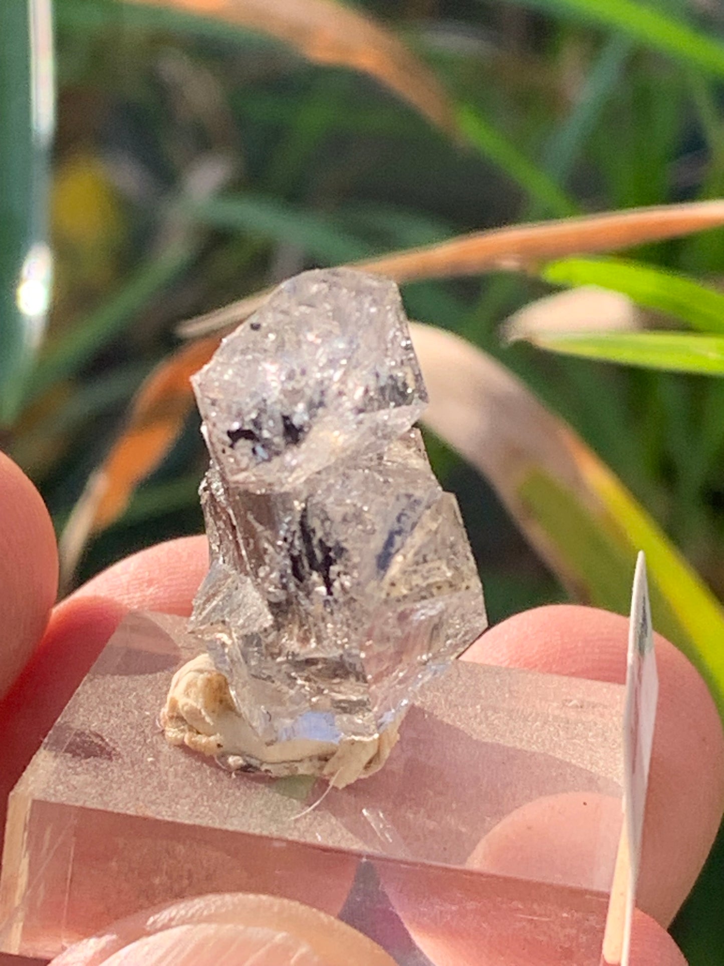 Cristal de roche/ Quartz Herkimer, pièce brute et naturelle, de 30mm x26 x14 - 8,3 grammes. Parfait en collection, exposition, lapidage..., spécimen brut de 32mm x21 x20 - 18 grammes. Parfait en collection, exposition, lapidage...