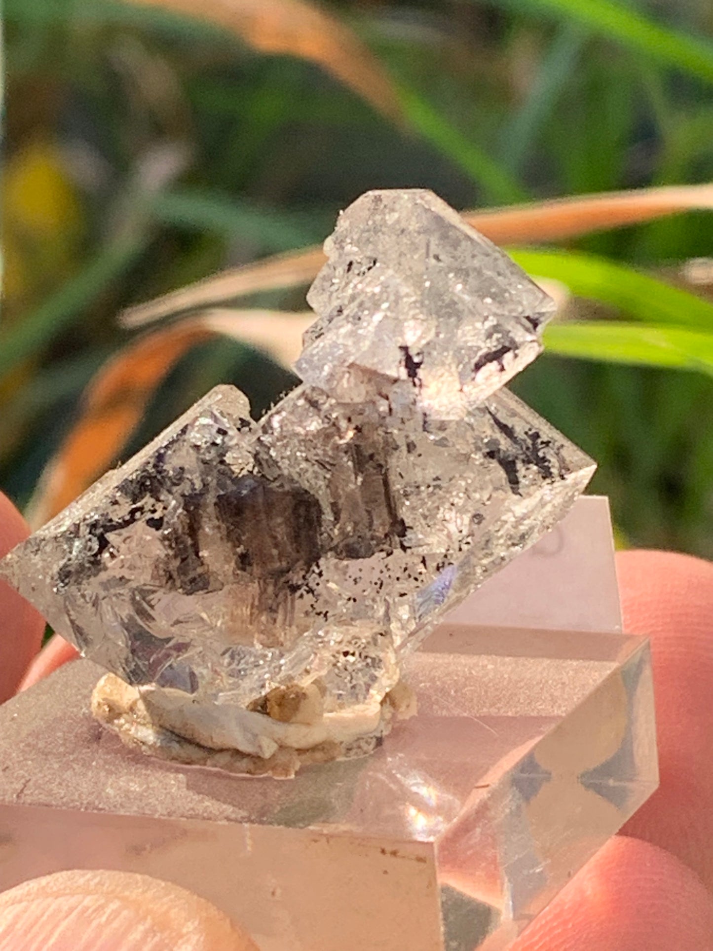 Cristal de roche/ Quartz Herkimer, pièce brute et naturelle, de 30mm x26 x14 - 8,3 grammes. Parfait en collection, exposition, lapidage..., spécimen brut de 32mm x21 x20 - 18 grammes. Parfait en collection, exposition, lapidage...