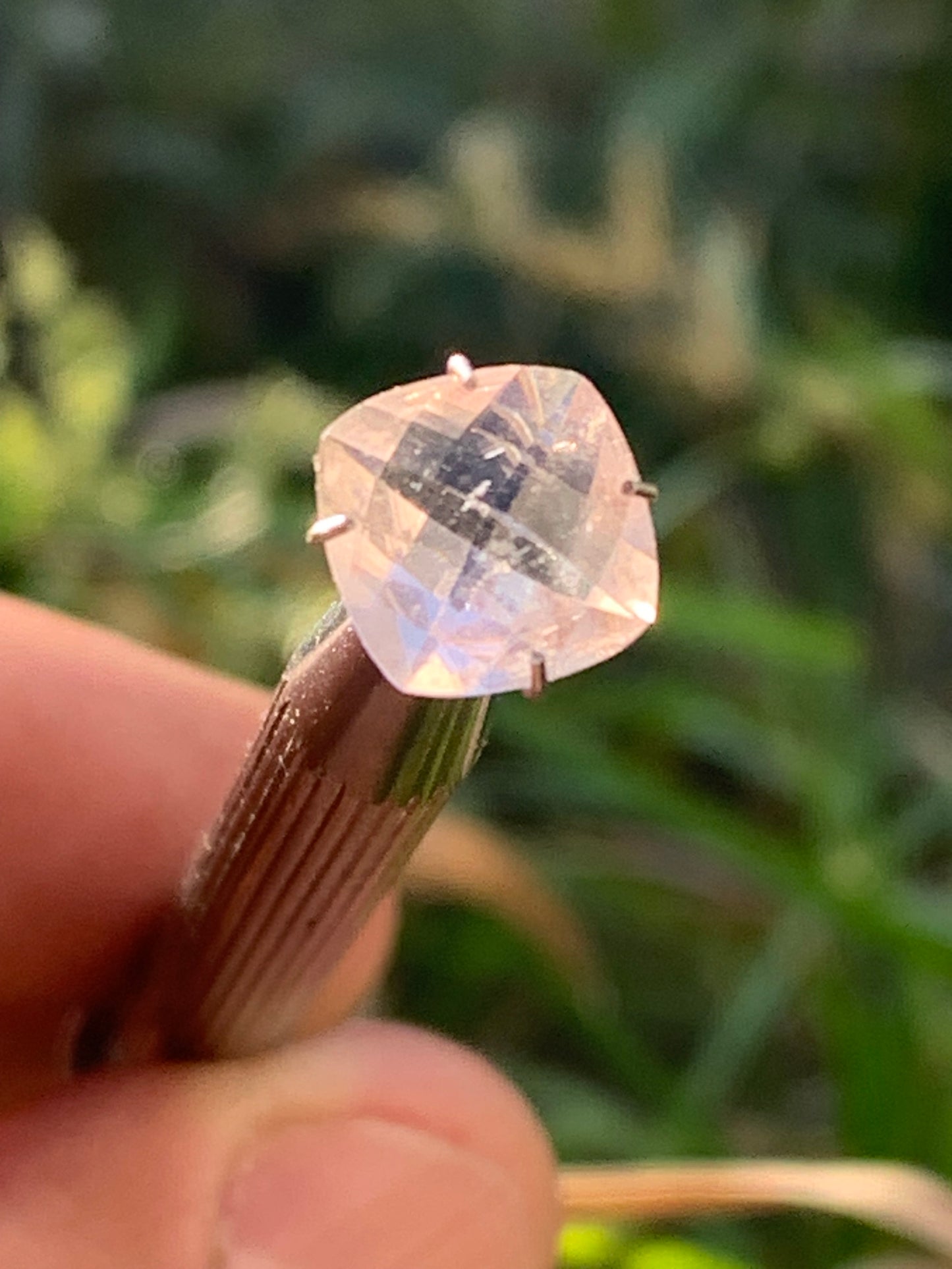 Morganite, pierre taillée de 10mm x10 x5 - 2,5 carats. Parfait en bijouterie, collection ,exposition...