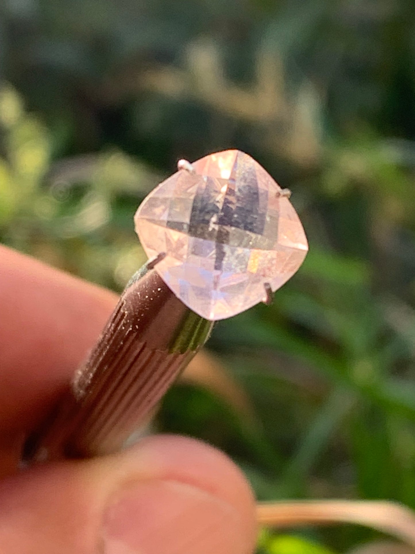 Morganite, pierre taillée de 10mm x10 x5 - 2,5 carats. Parfait en bijouterie, collection ,exposition...
