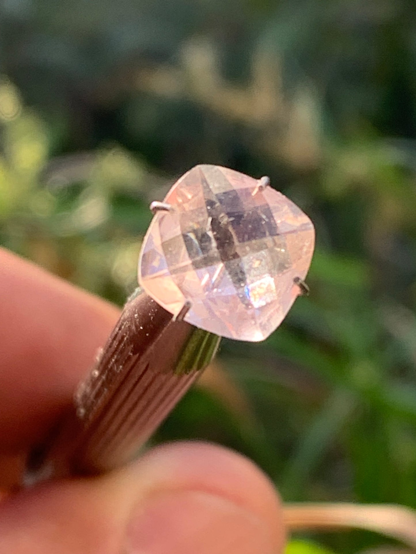 Morganite, pierre taillée de 10mm x10 x5 - 2,5 carats. Parfait en bijouterie, collection ,exposition...