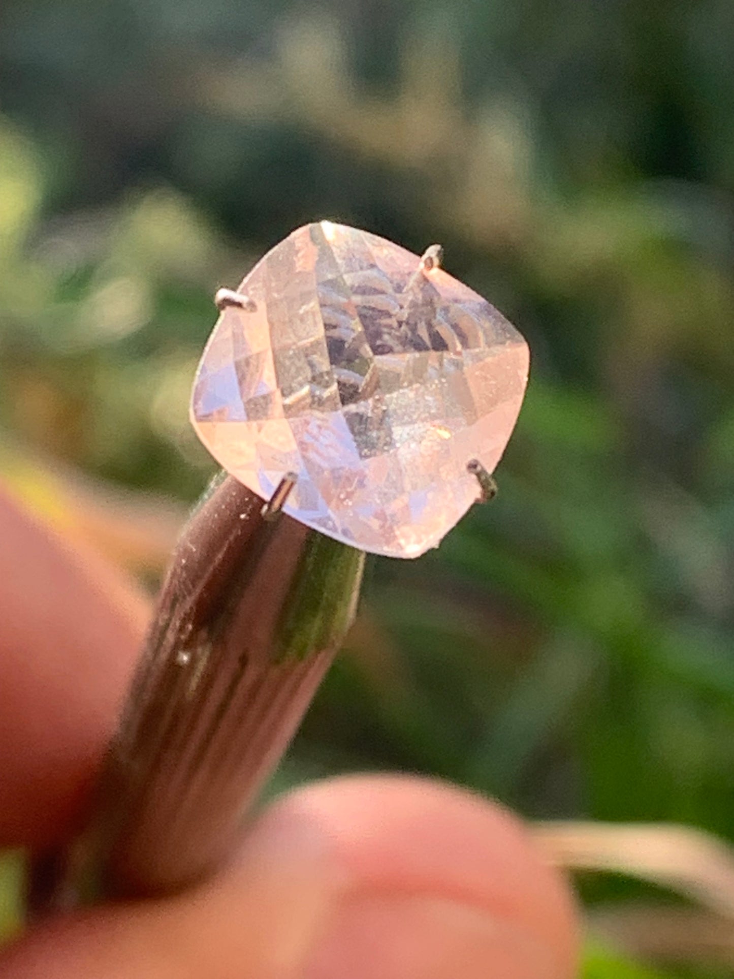 Morganite, pierre taillée de 10mm x10 x5 - 2,5 carats. Parfait en bijouterie, collection ,exposition...