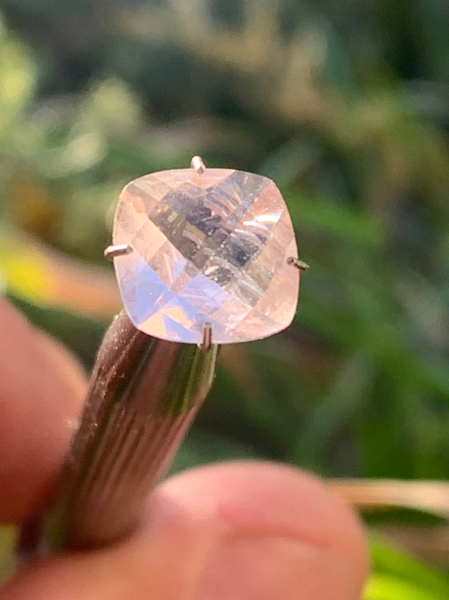 Morganite, pierre taillée de 10mm x10 x5 - 2,5 carats. Parfait en bijouterie, collection ,exposition...