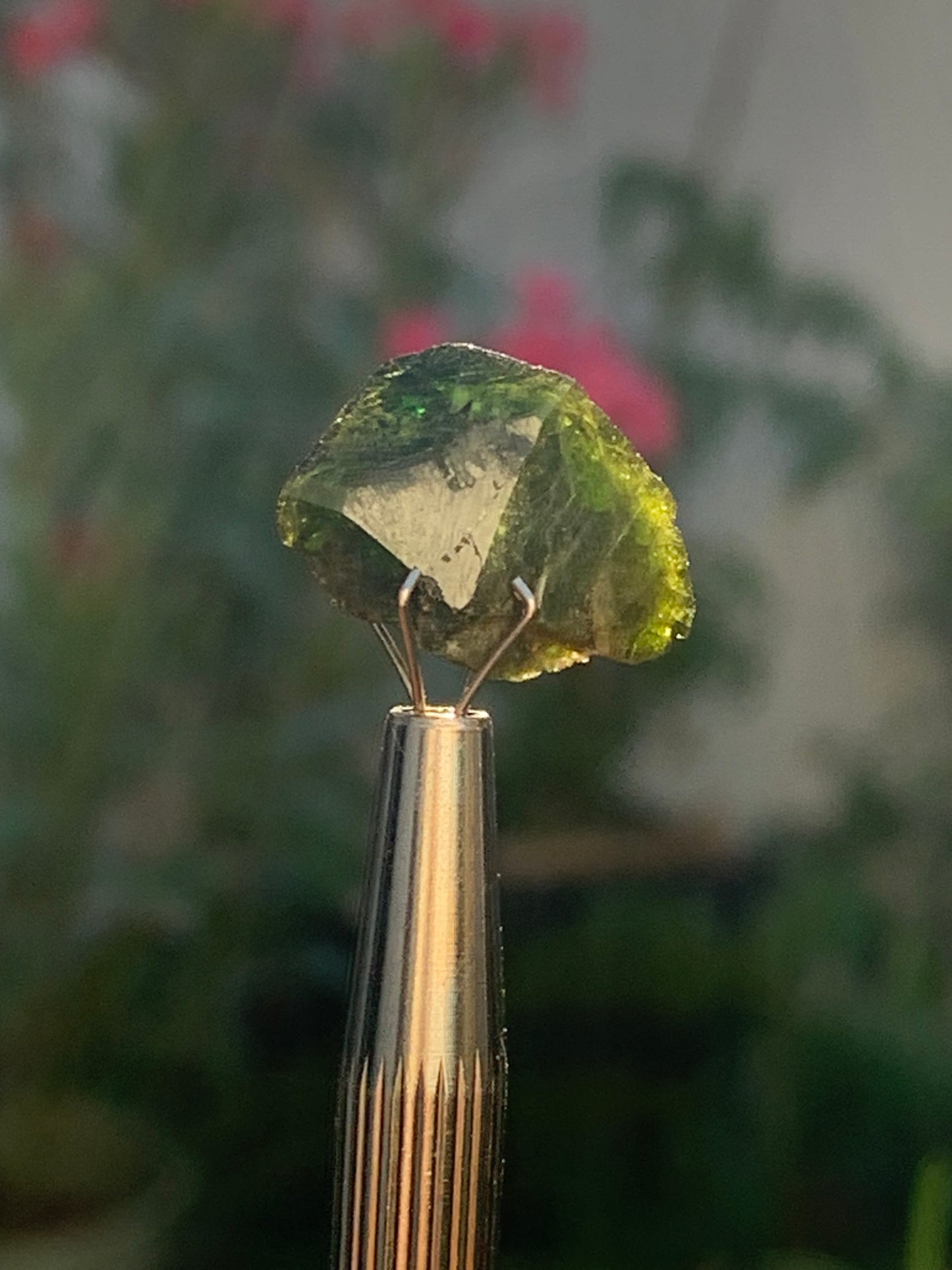 Vesuvianite also called Idocrase (little known), specimen of 19 mm x 14 x 8 - 2 grams! Superb little piece!