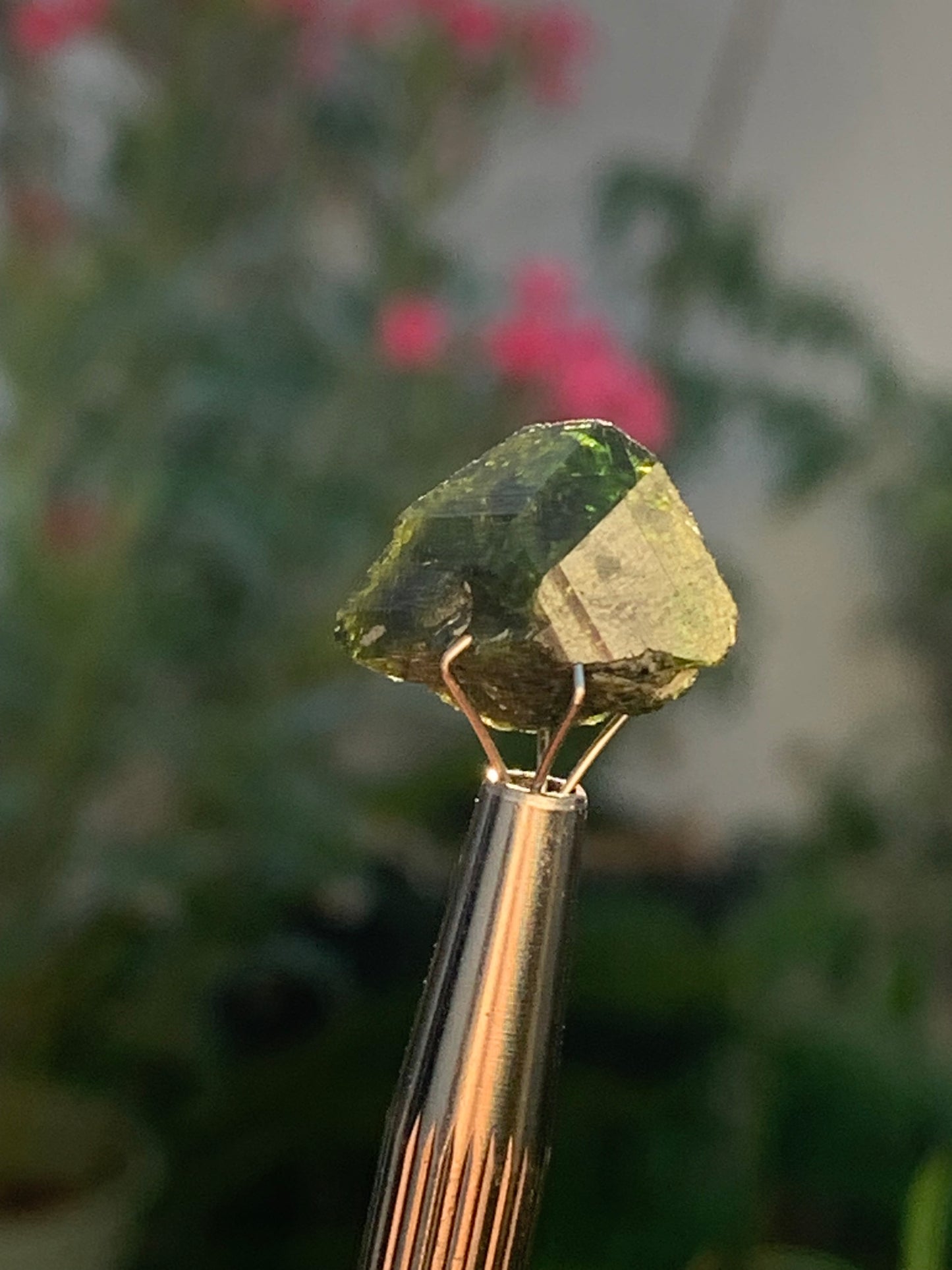 Vesuvianite also called Idocrase (little known), specimen of 19 mm x 14 x 8 - 2 grams! Superb little piece!