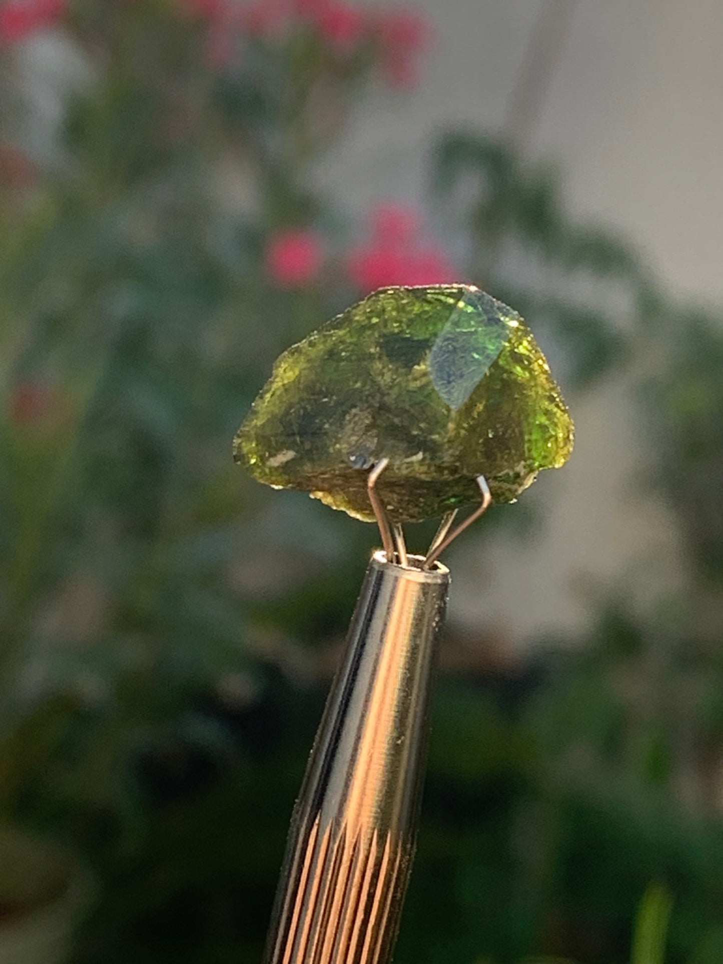 Vesuvianite also called Idocrase (little known), specimen of 19 mm x 14 x 8 - 2 grams! Superb little piece!