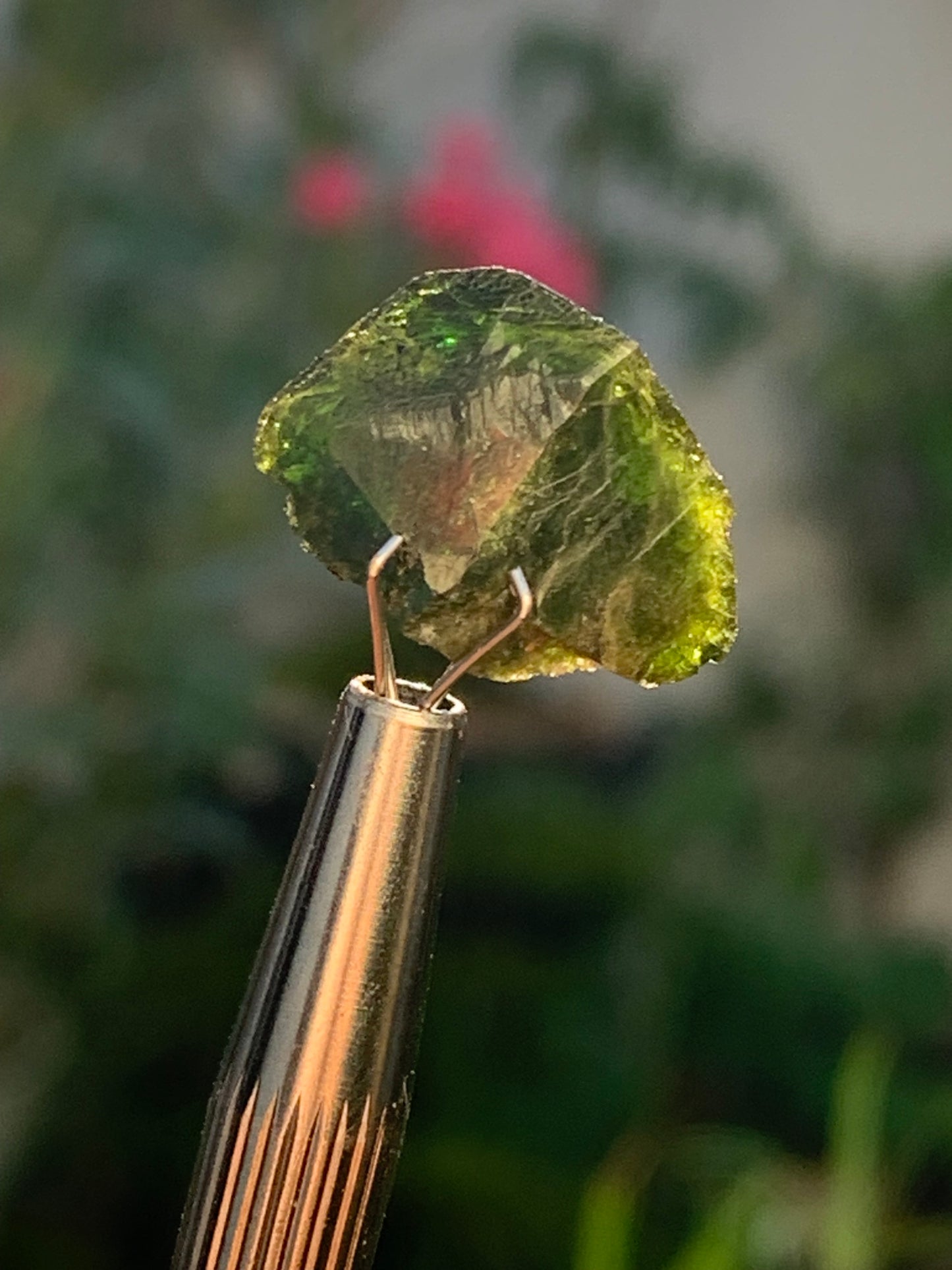 Vesuvianite also called Idocrase (little known), specimen of 19 mm x 14 x 8 - 2 grams! Superb little piece!