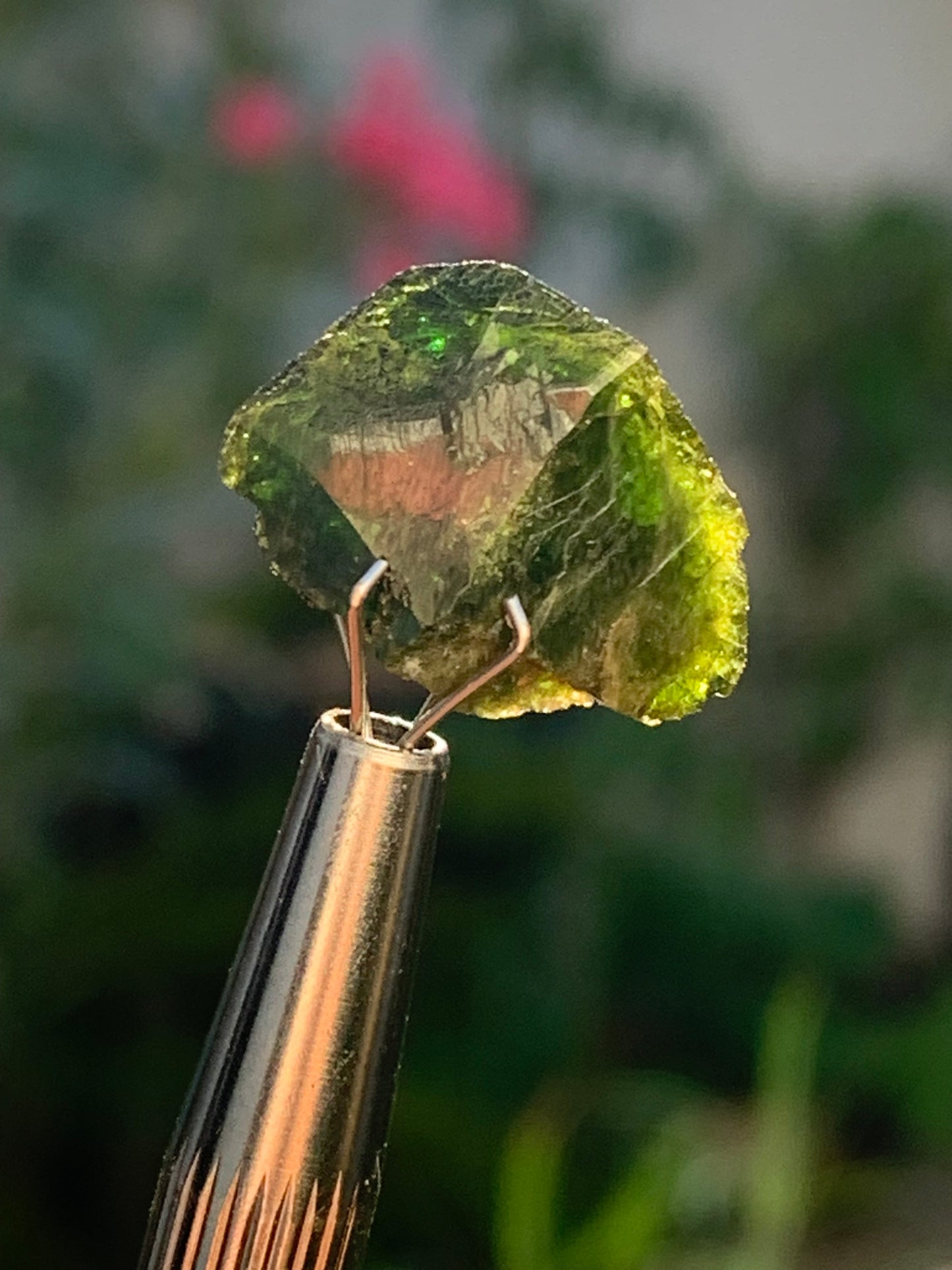 Vesuvianite also called Idocrase (little known), specimen of 19 mm x 14 x 8 - 2 grams! Superb little piece!