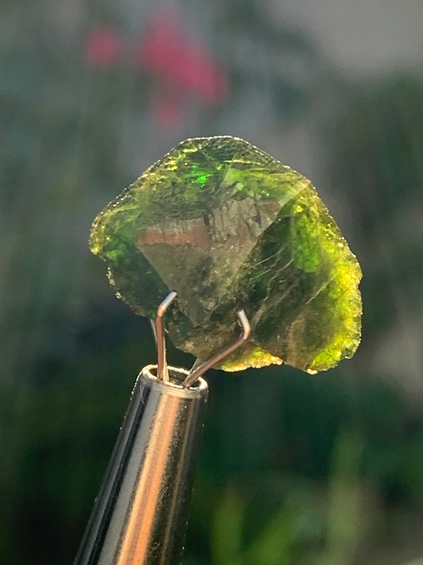Vesuvianite also called Idocrase (little known), specimen of 19 mm x 14 x 8 - 2 grams! Superb little piece!