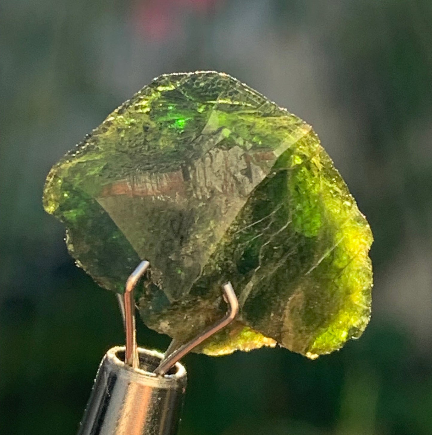 Vesuvianite also called Idocrase (little known), specimen of 19 mm x 14 x 8 - 2 grams! Superb little piece!
