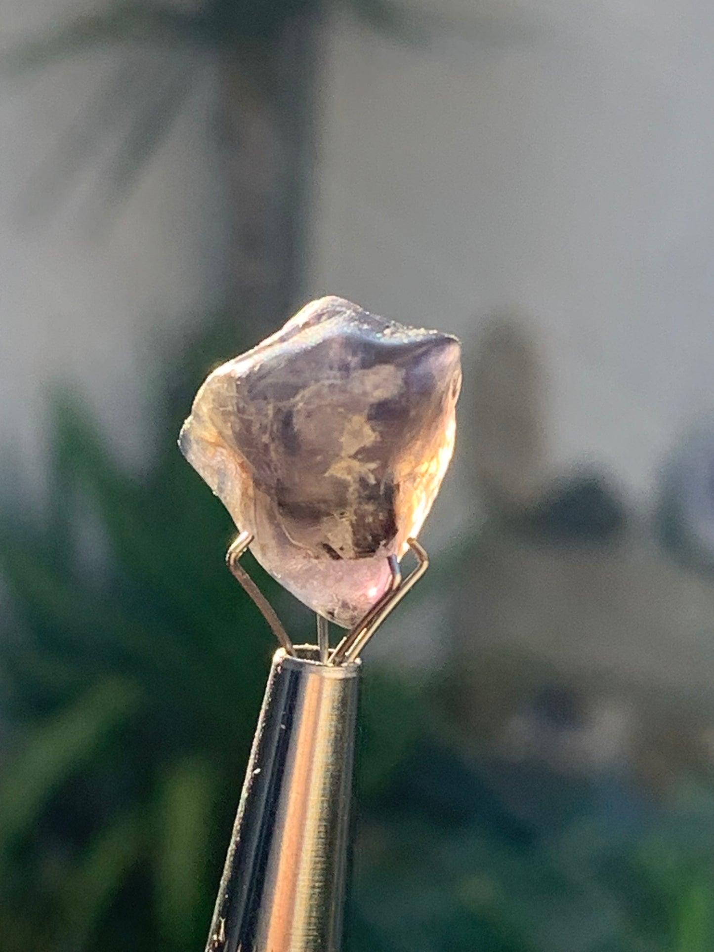 Cordiérite / Iolite, spècimen brute de 17mm x15 x14 - 3 grammes. Parfait pour la bijouterie, collection, exposition...