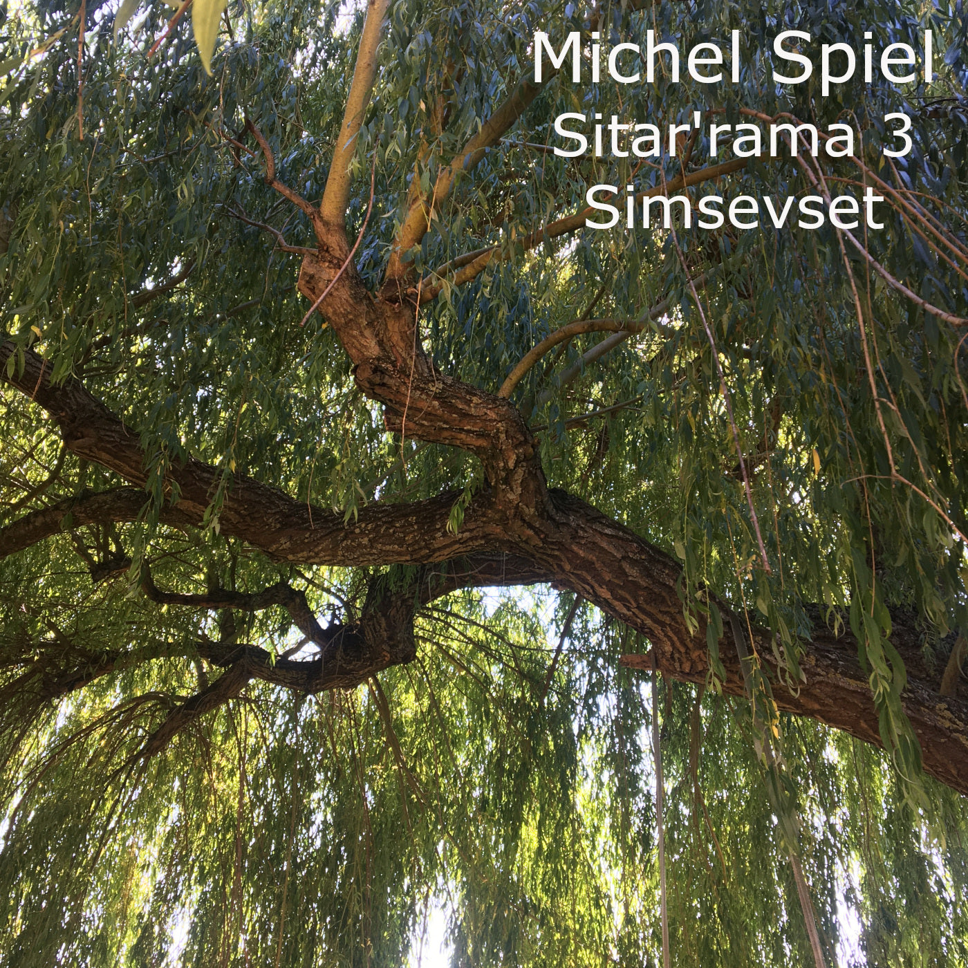 Compact disc/ clé usb ou téléchargement, album de composition, artiste : Michel Spiel. Contenu : jeu avec un Sitar Indien et un hand pan/ Album : Sitarama 3 'Simsevset'
