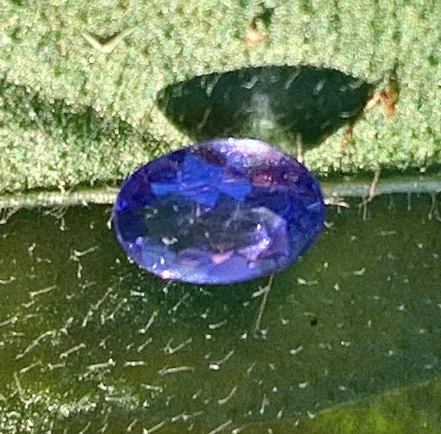 Tanzanite, superbes gemmes de 5mm x 4 x2 - 0,50 carat en moyenne. Vente à l'unité ou lot. Parfait en bijouterie, collection ,exposition...