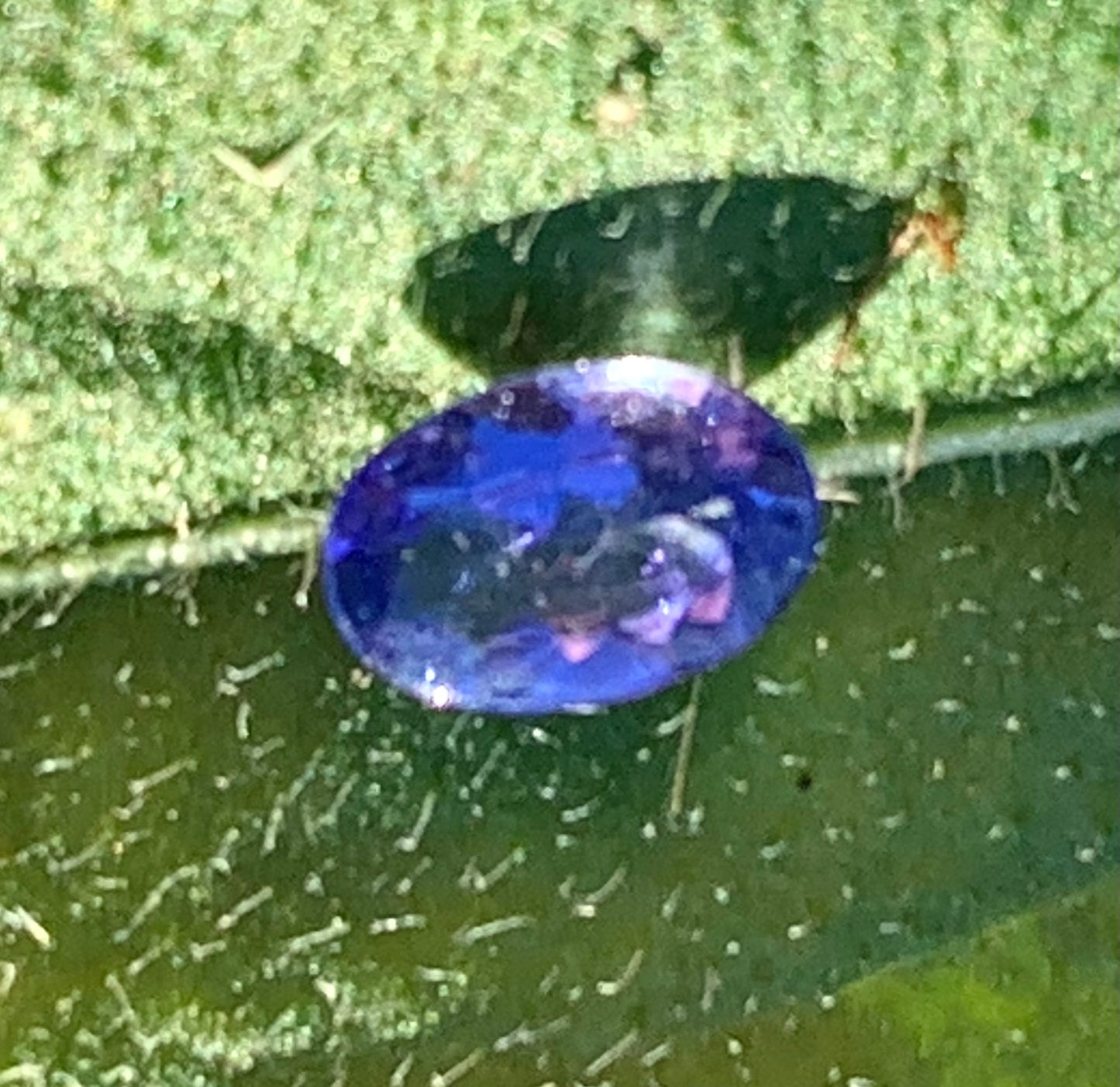 Tanzanite, superbes gemmes de 5mm x 4 x2 - 0,50 carat en moyenne. Vente à l'unité ou lot. Parfait en bijouterie, collection ,exposition...