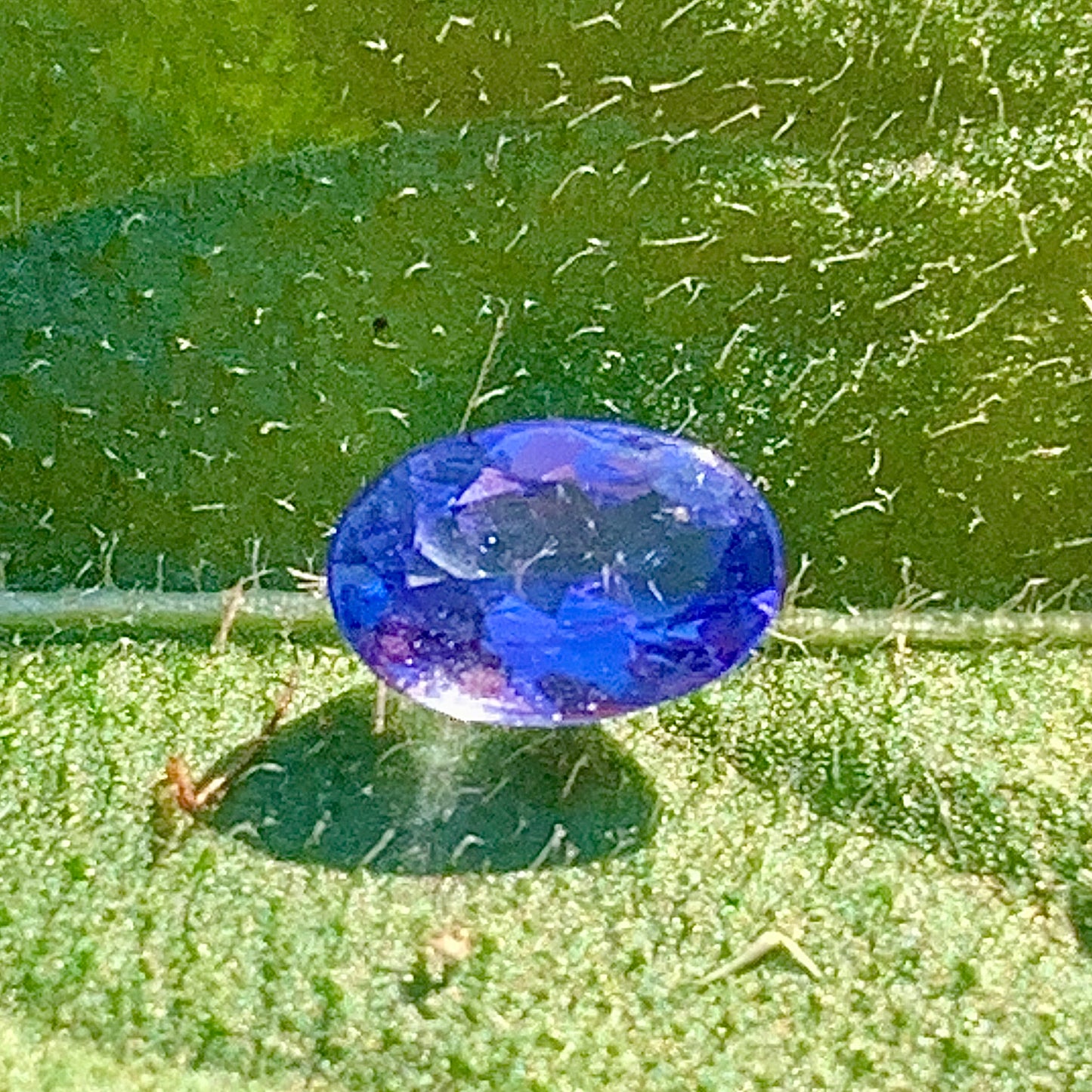 Tanzanite, superbes gemmes de 5mm x 4 x2 - 0,50 carat en moyenne. Vente à l'unité ou lot. Parfait en bijouterie, collection ,exposition...