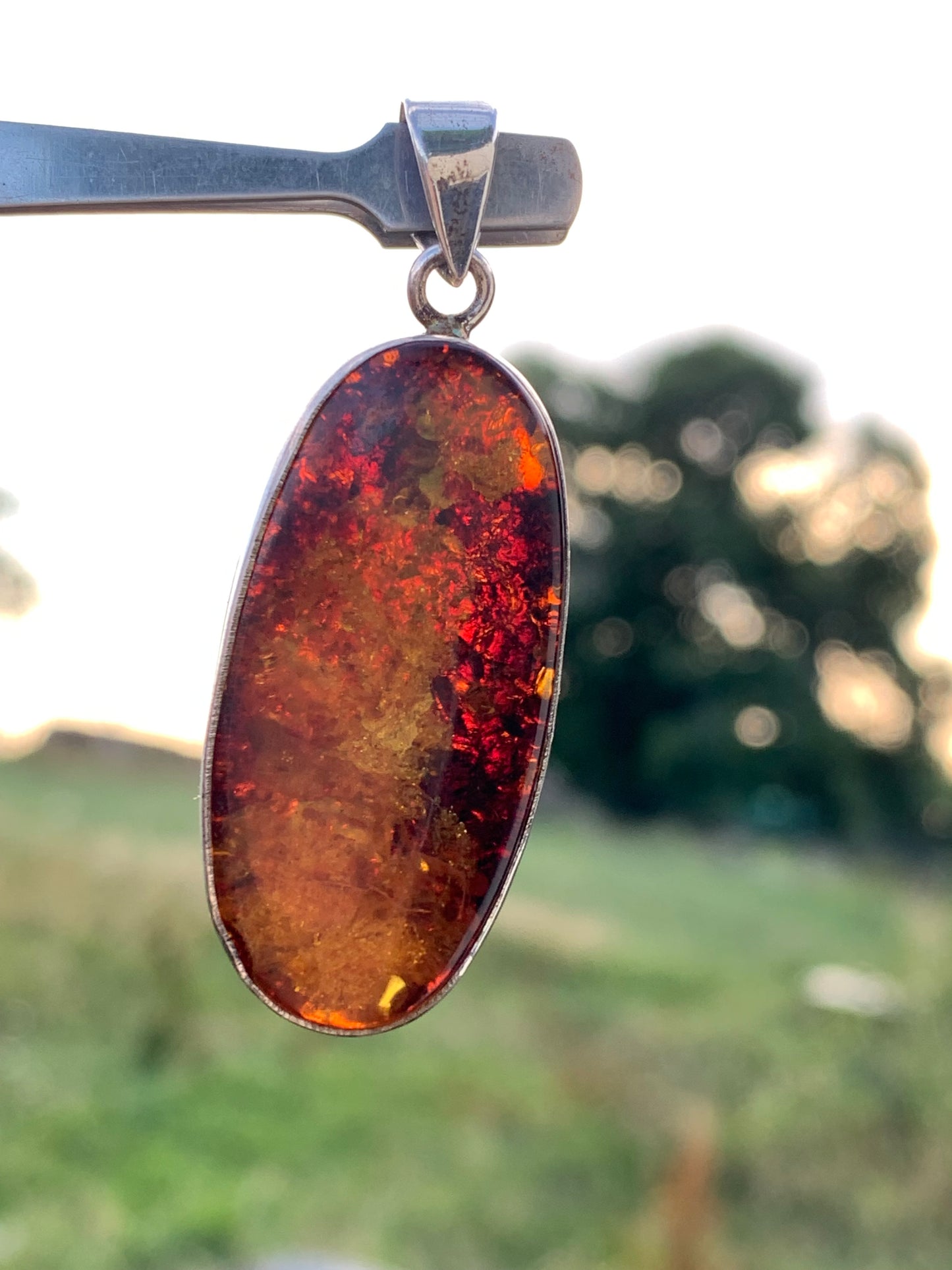 Amber, silver pendant measuring 52 x 18 x 6 mm / 6.3 grams, sold with a sliding black cord measuring 40 to 70 cm!
