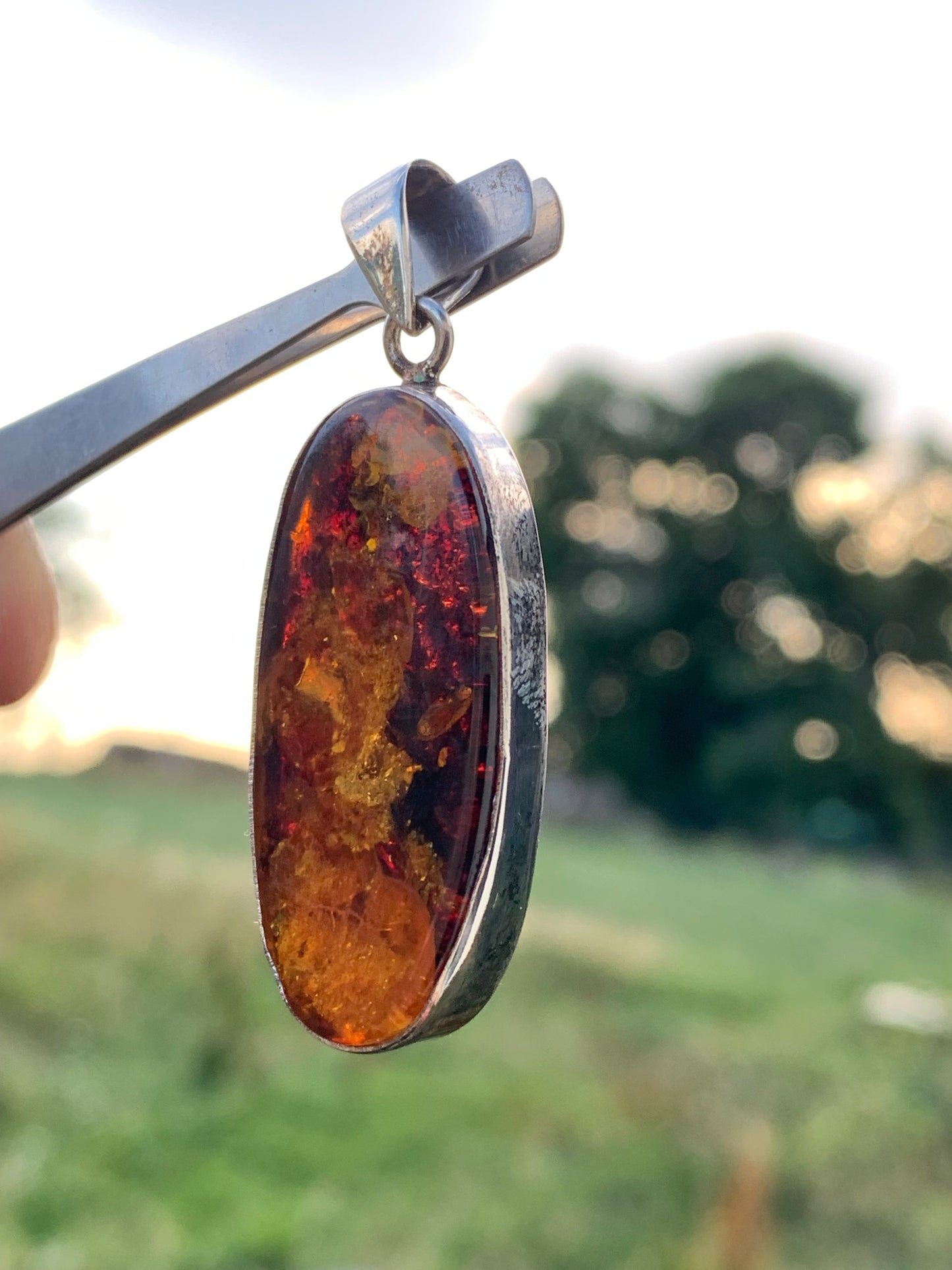 Amber, silver pendant measuring 52 x 18 x 6 mm / 6.3 grams, sold with a sliding black cord measuring 40 to 70 cm!