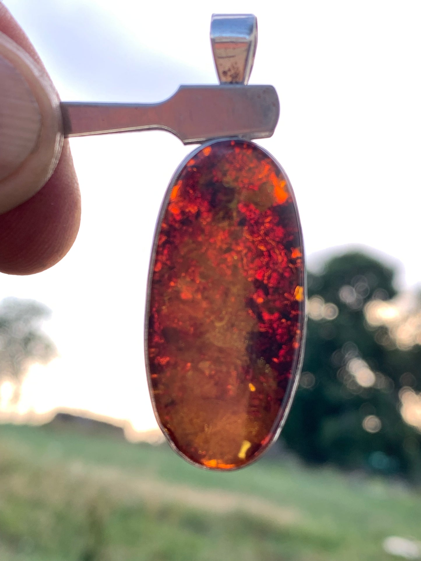 Amber, silver pendant measuring 52 x 18 x 6 mm / 6.3 grams, sold with a sliding black cord measuring 40 to 70 cm!