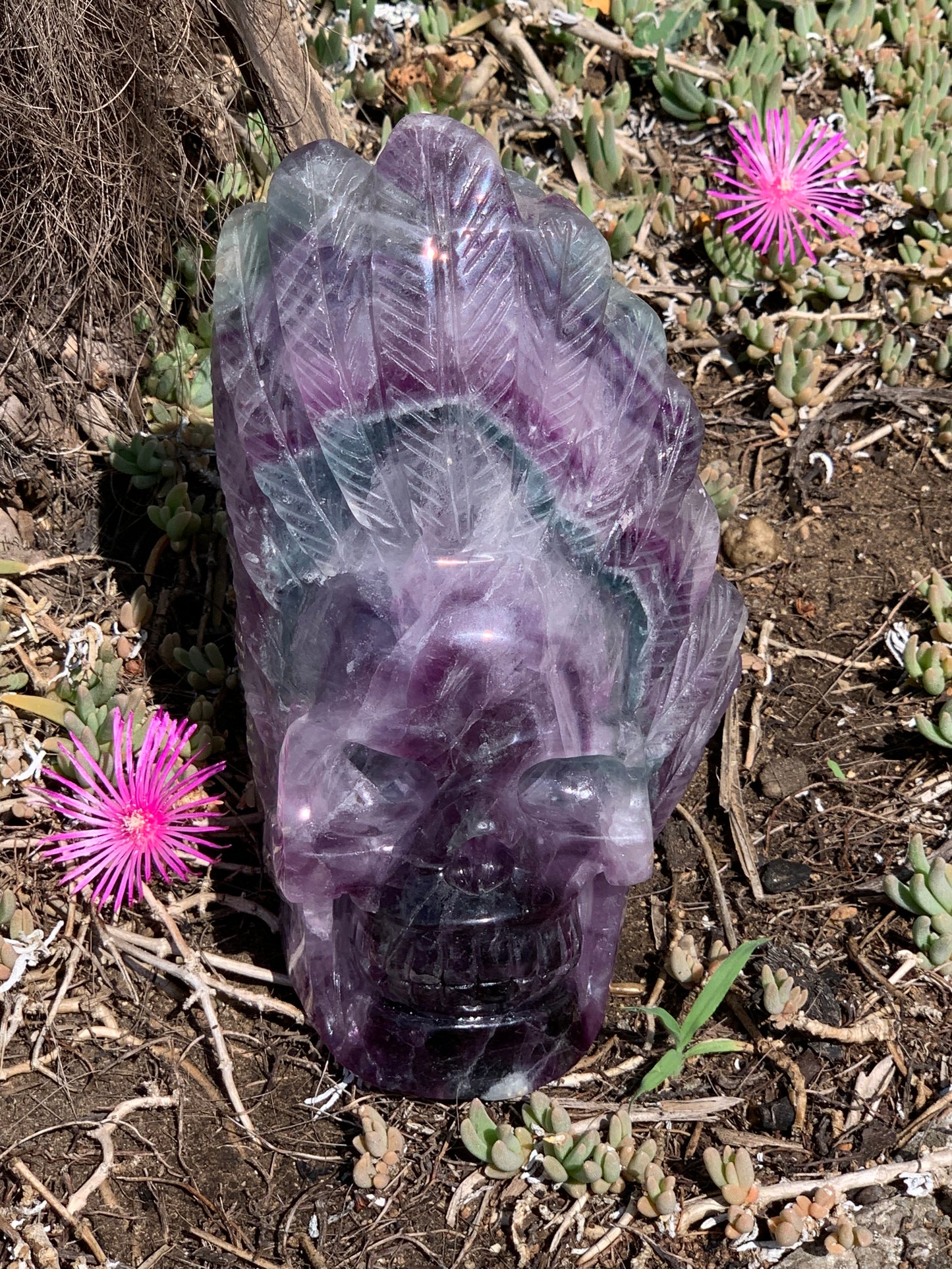 Crâne en Fluorite multicolore fait main, de 18cm x 10 x 9 / 1450 grammes. Belle qualité, de belles finitions, magnifique pièce !