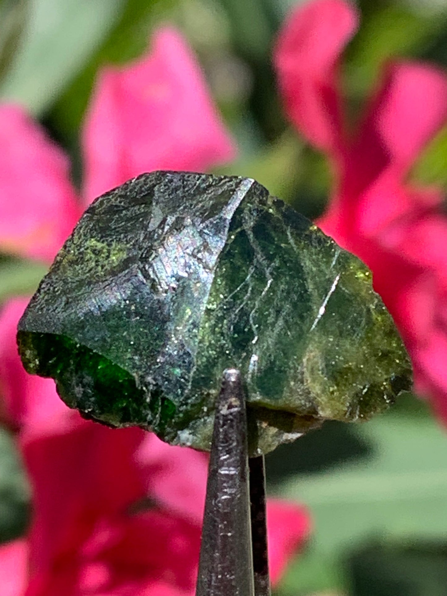 Vesuvianite also called Idocrase (little known), specimen of 19 mm x 14 x 8 - 2 grams! Superb little piece!